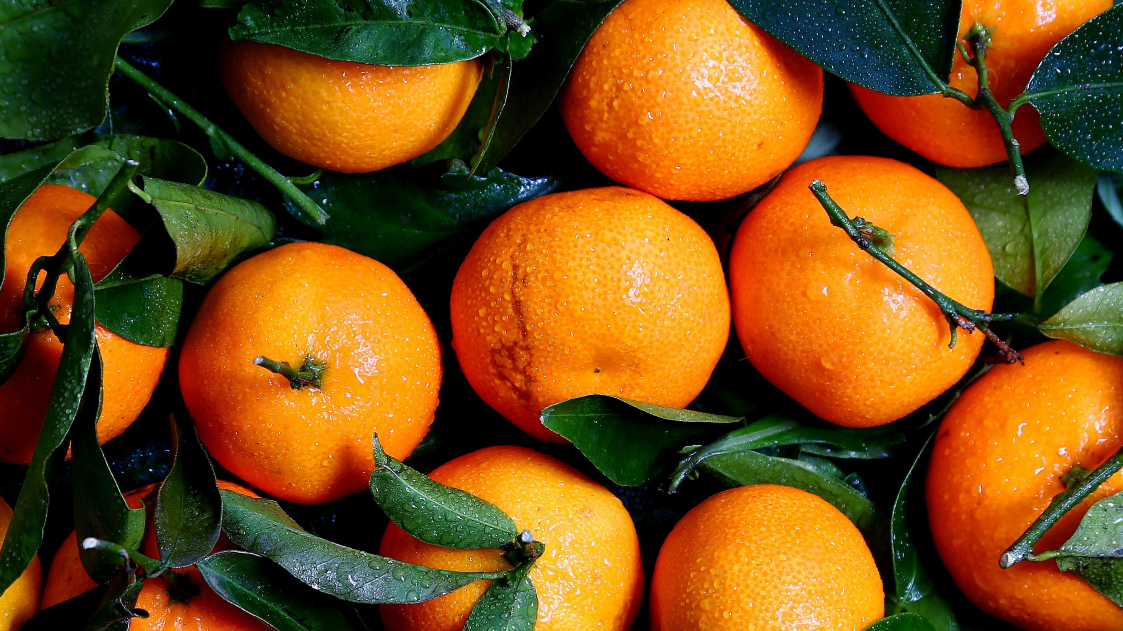 The Healing Power of Terpenes in Oranges