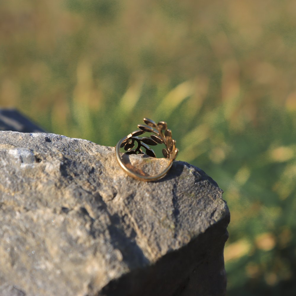 Blatt-Ringe-bearbeitet-web2-4.jpg