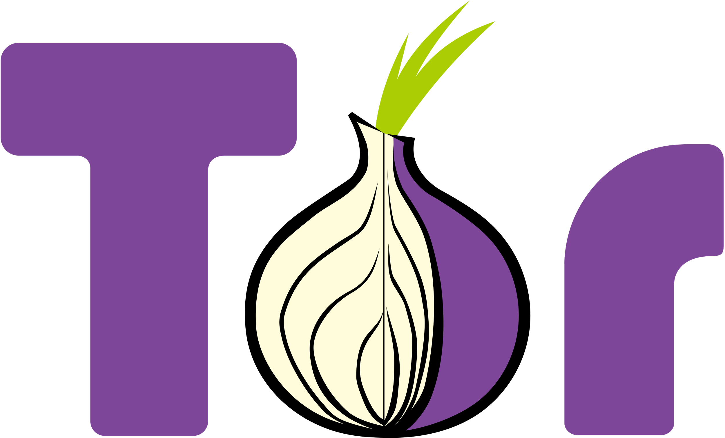 A diagram of an onion showing its layers and green sprout.