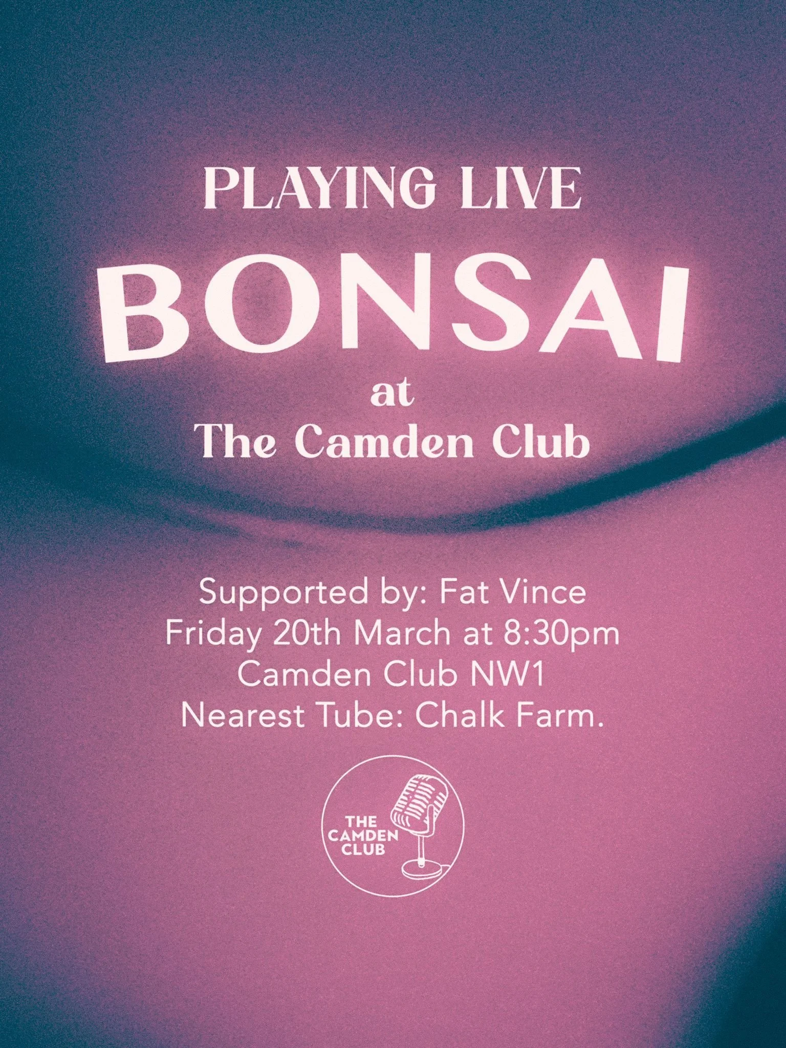 Incredible Bonsai with Fat Vince