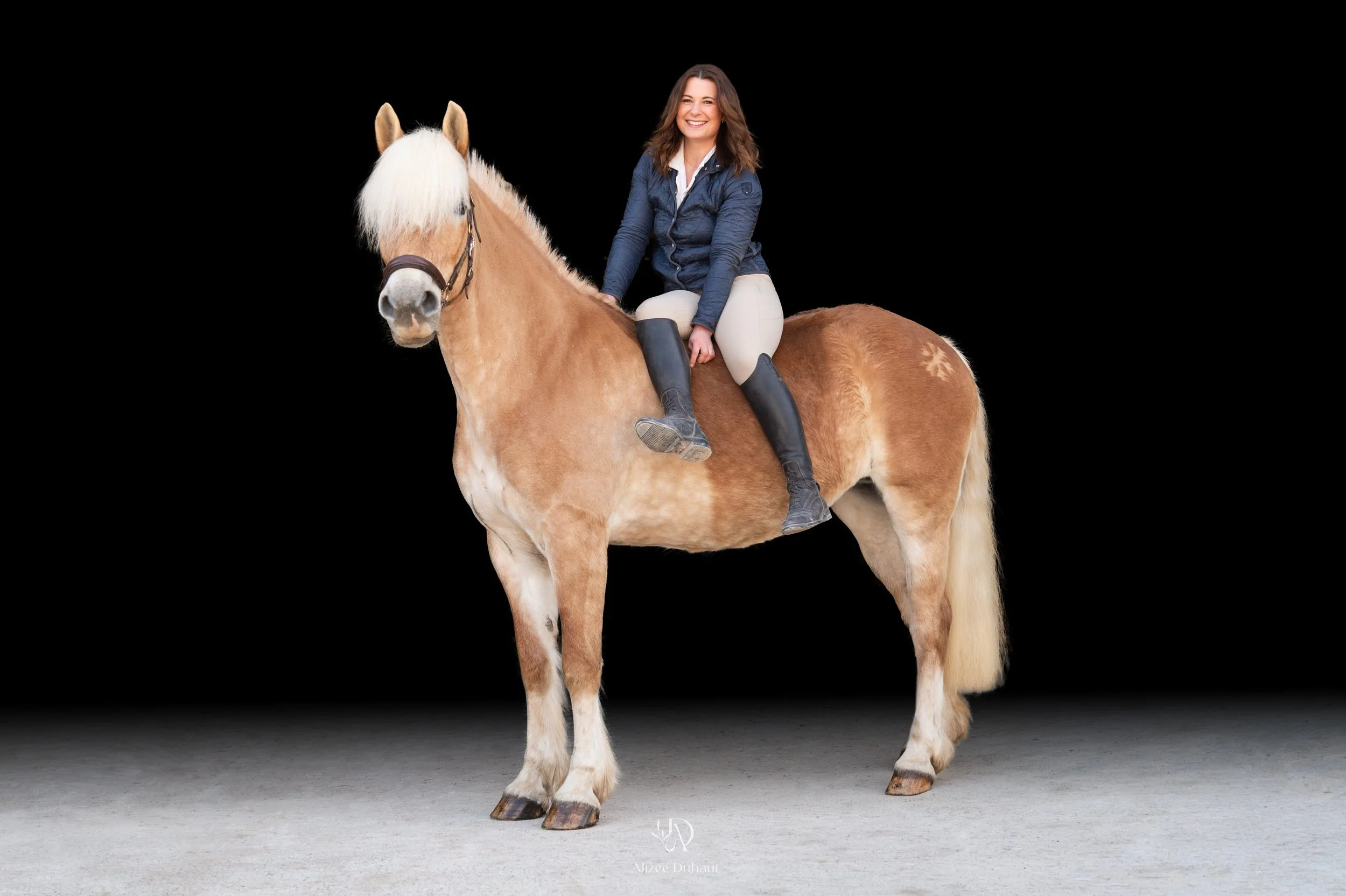 Séance photo fond noir cavalier cheval Béthune