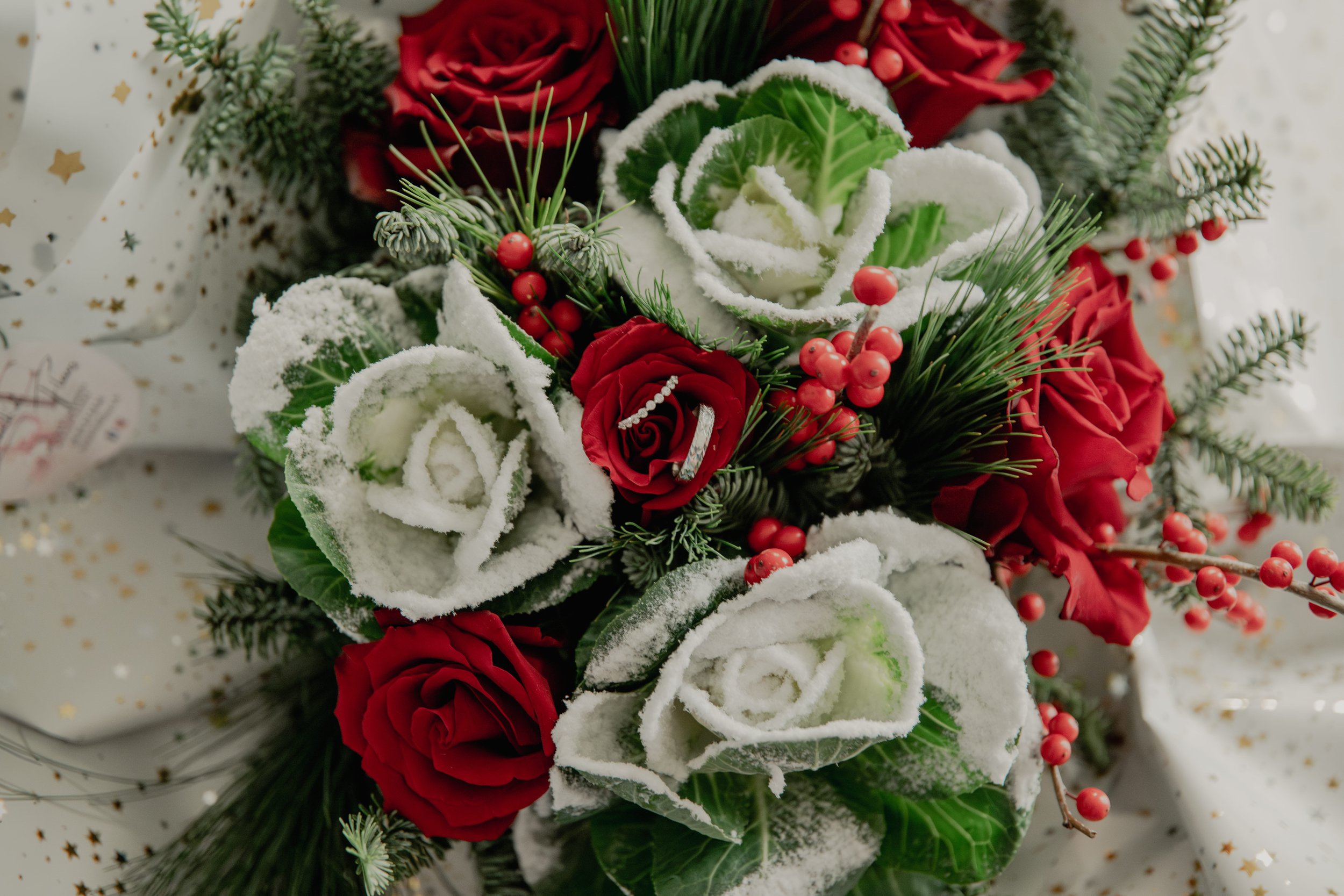 ALI_0256-Avec accentuation-Bruit.jpg