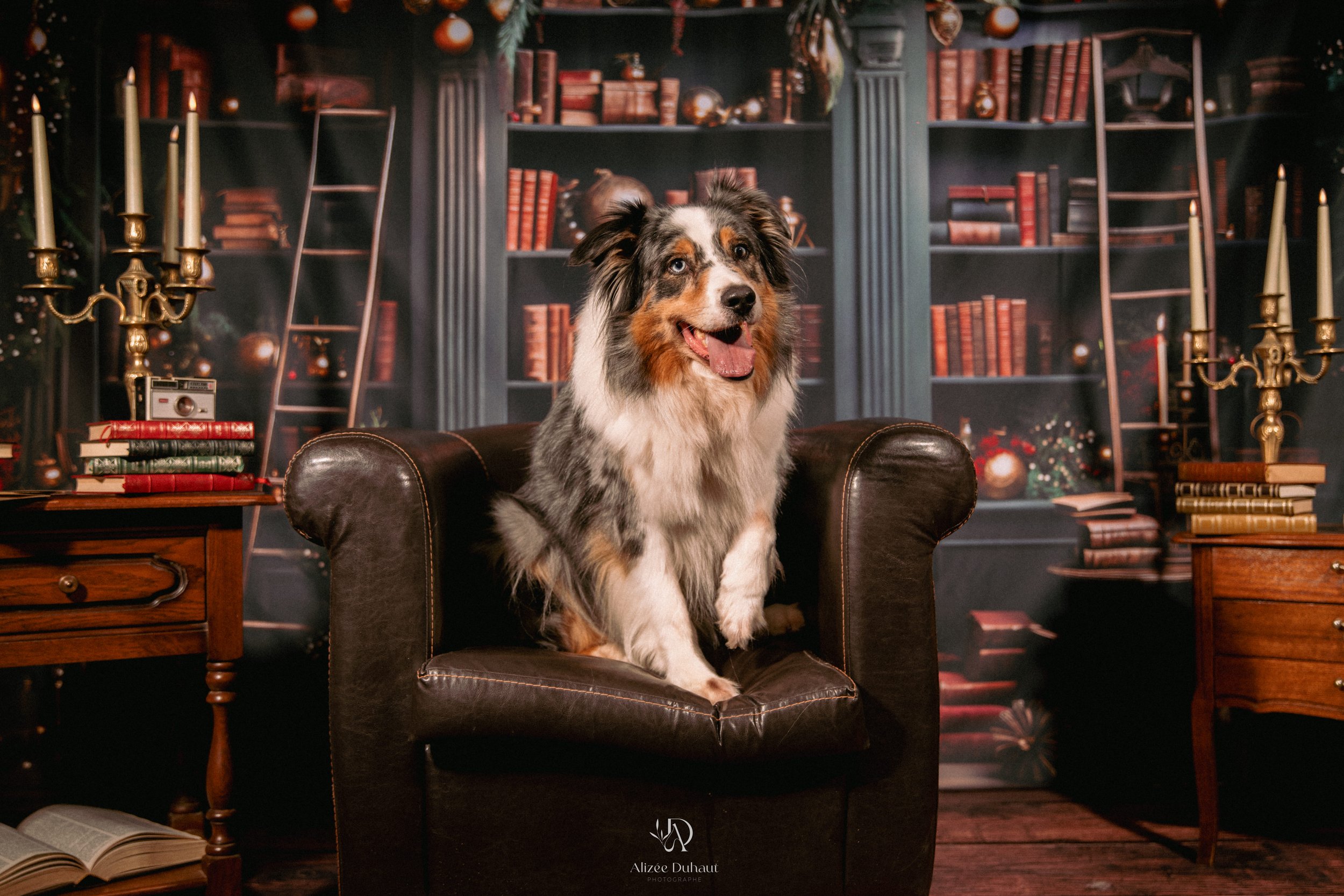 Studio photo de Noël 2026