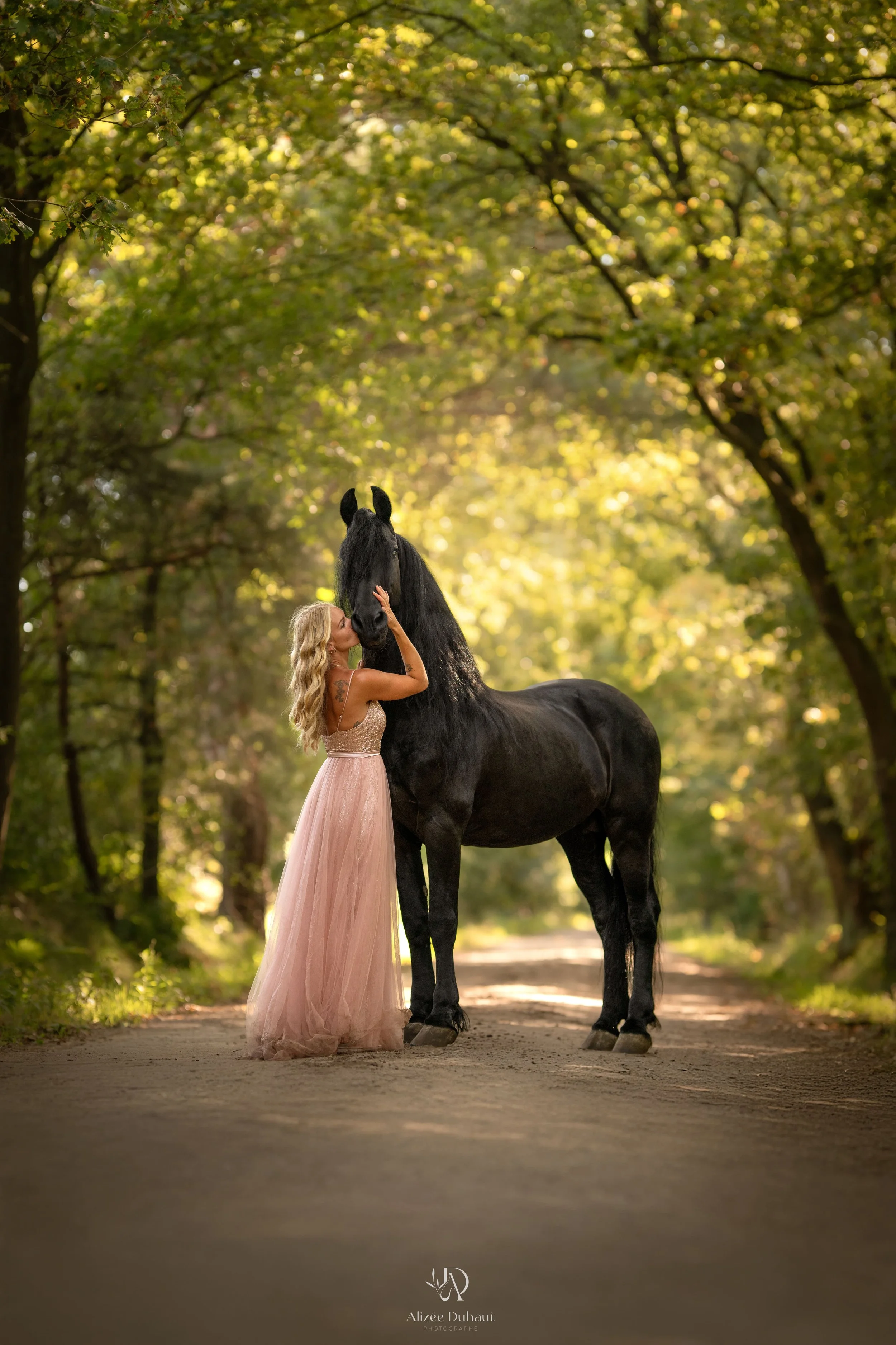portrait cheval frison et cavalière en robe séance photo forêt Hauts de France