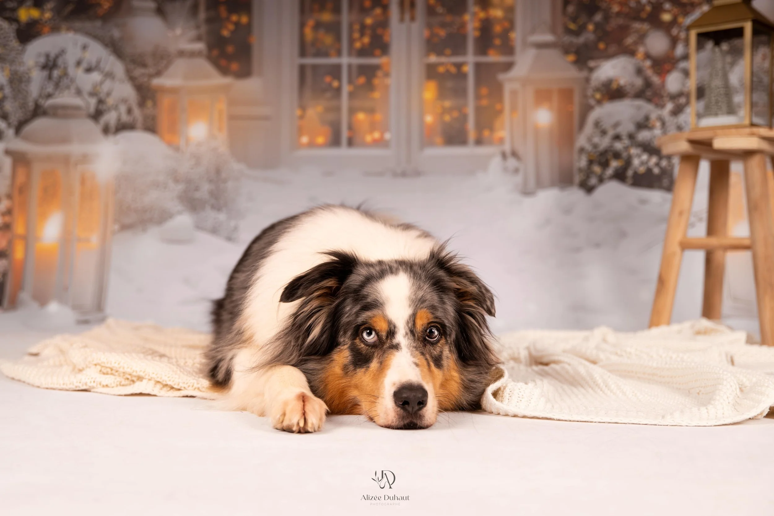 ALI_3053-Modifier-min.jpg