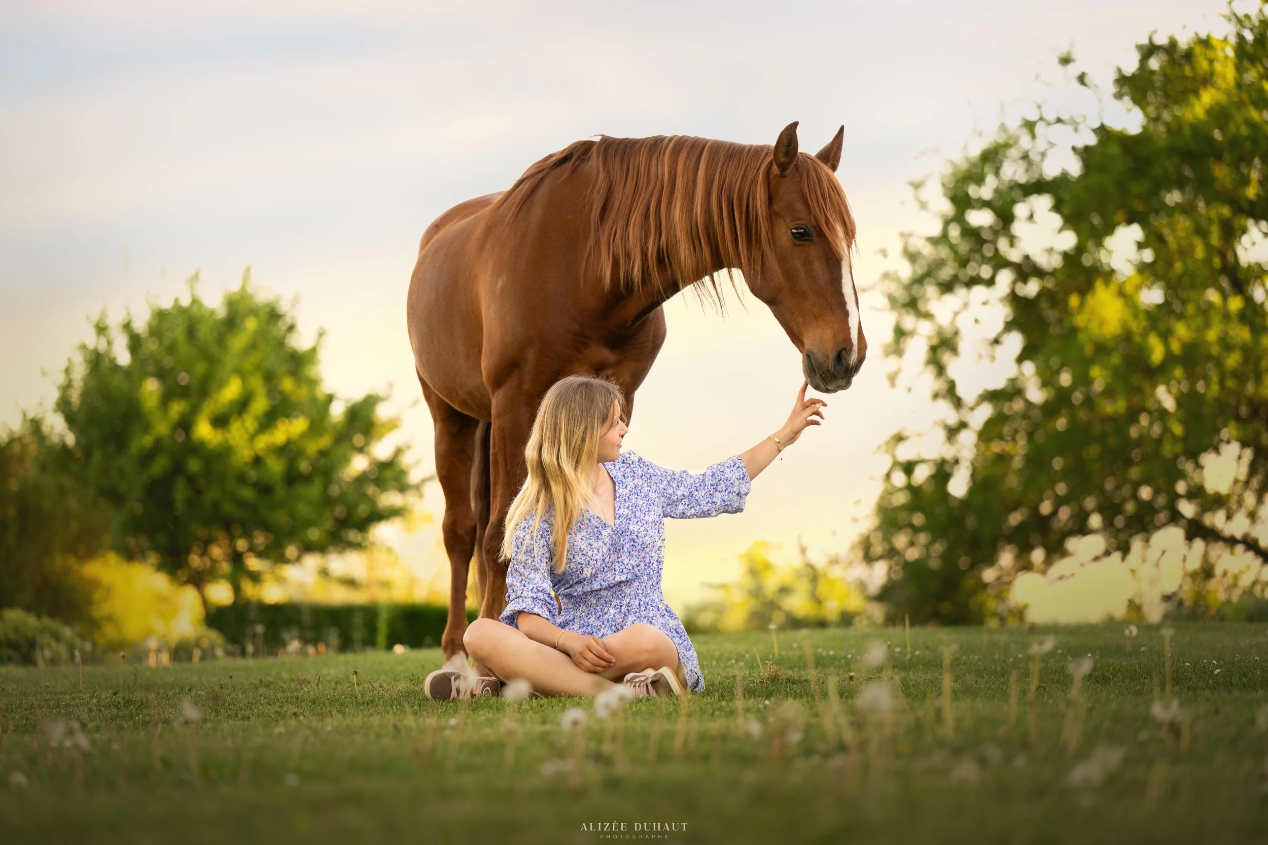 Moment de complicité entre une cavalière et son cheval dans leur pré, Lens