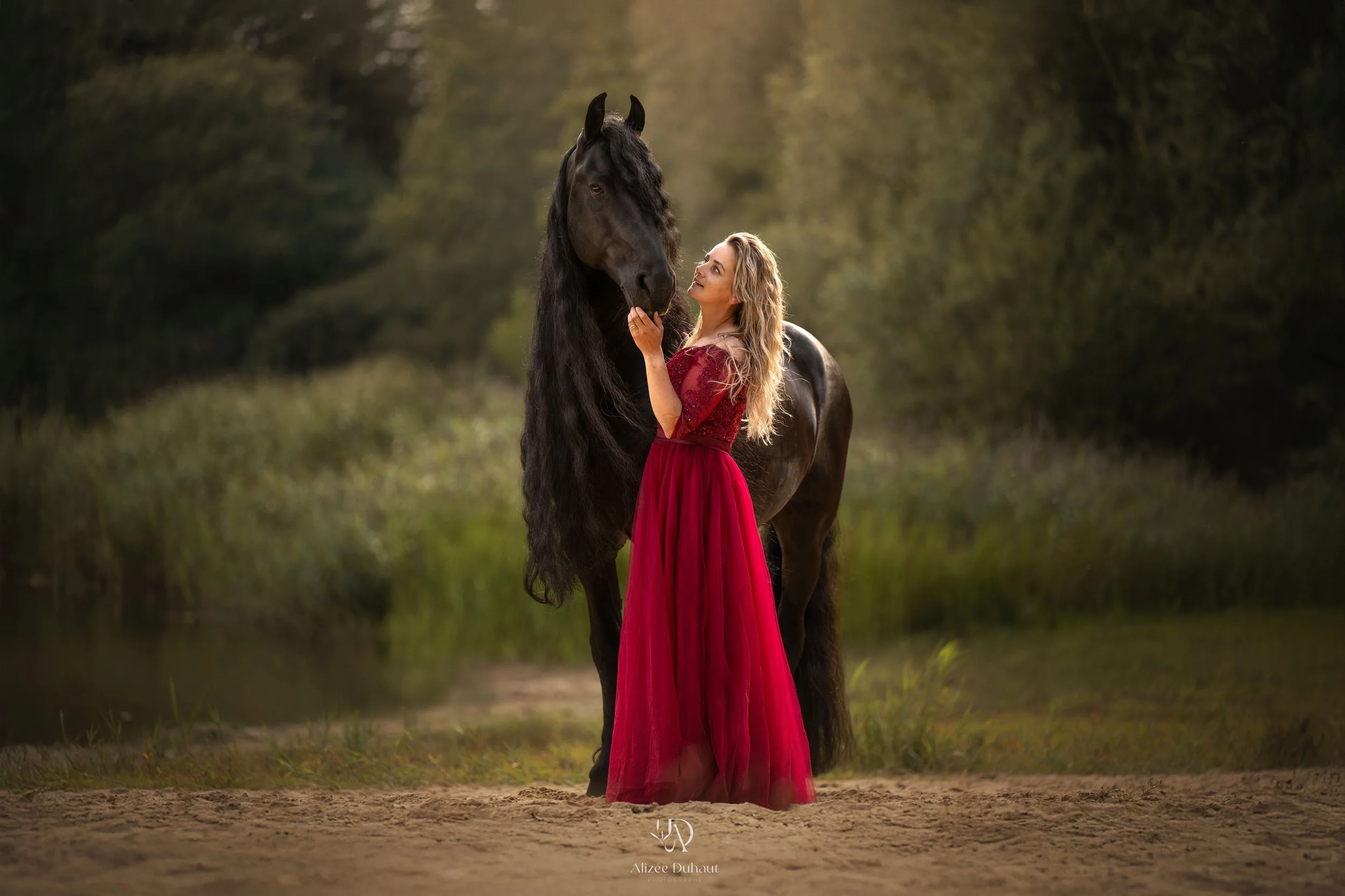 Séance photo d'une cavalière et son cheval frison près d'un lac, Lens