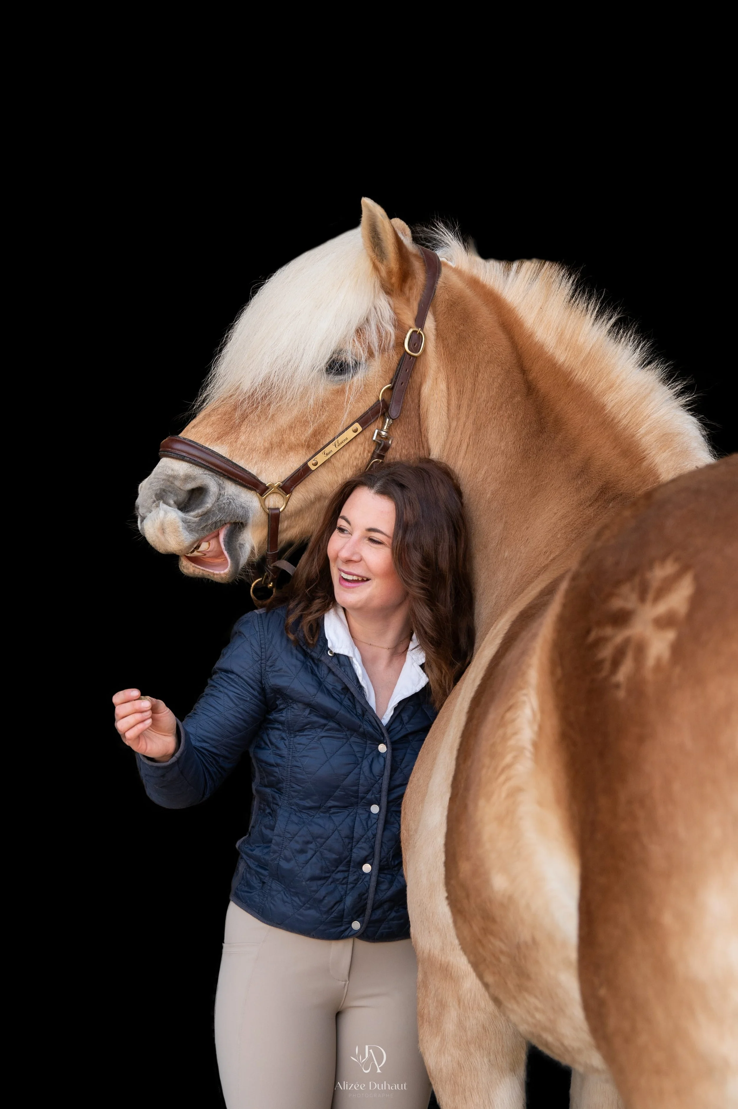 Séance photo fond noir cavalier cheval Béthune