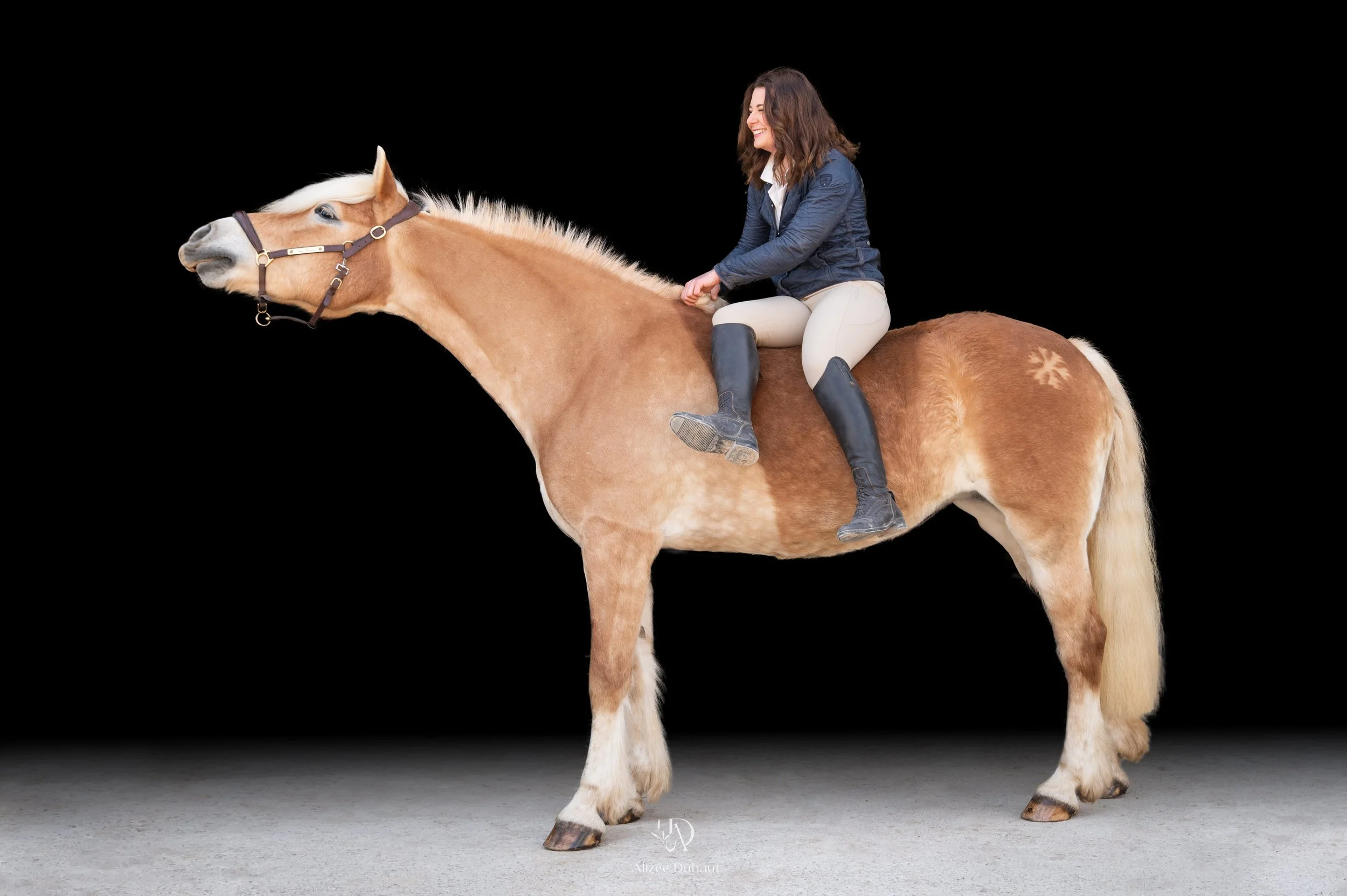 Séance photo fond noir cavalier cheval Béthune