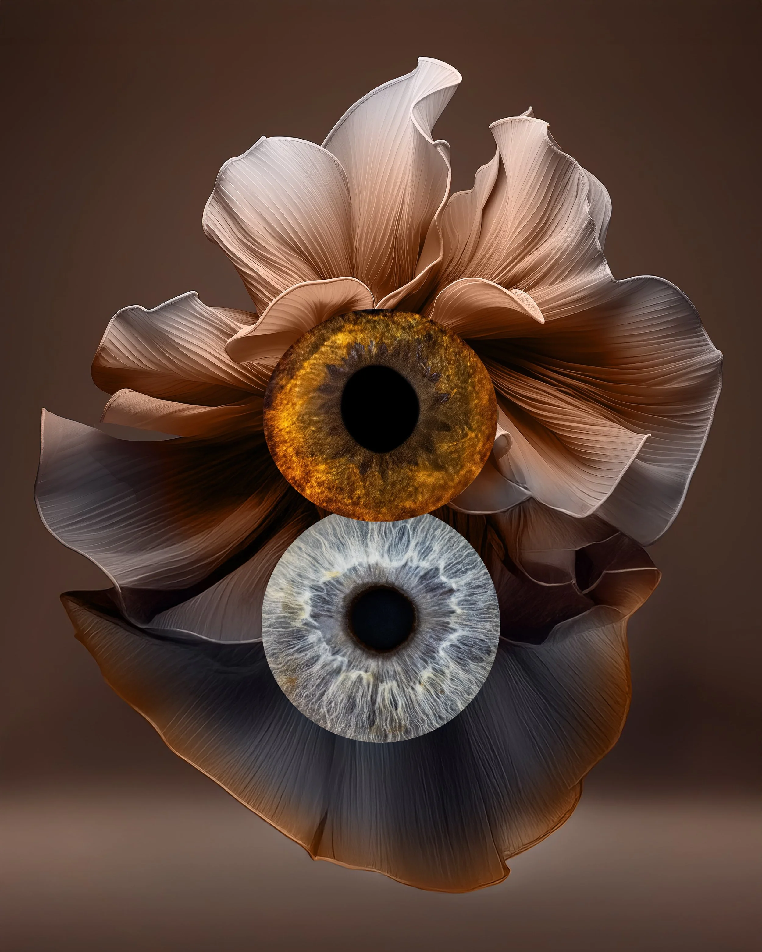 7- SILK -min.jpg