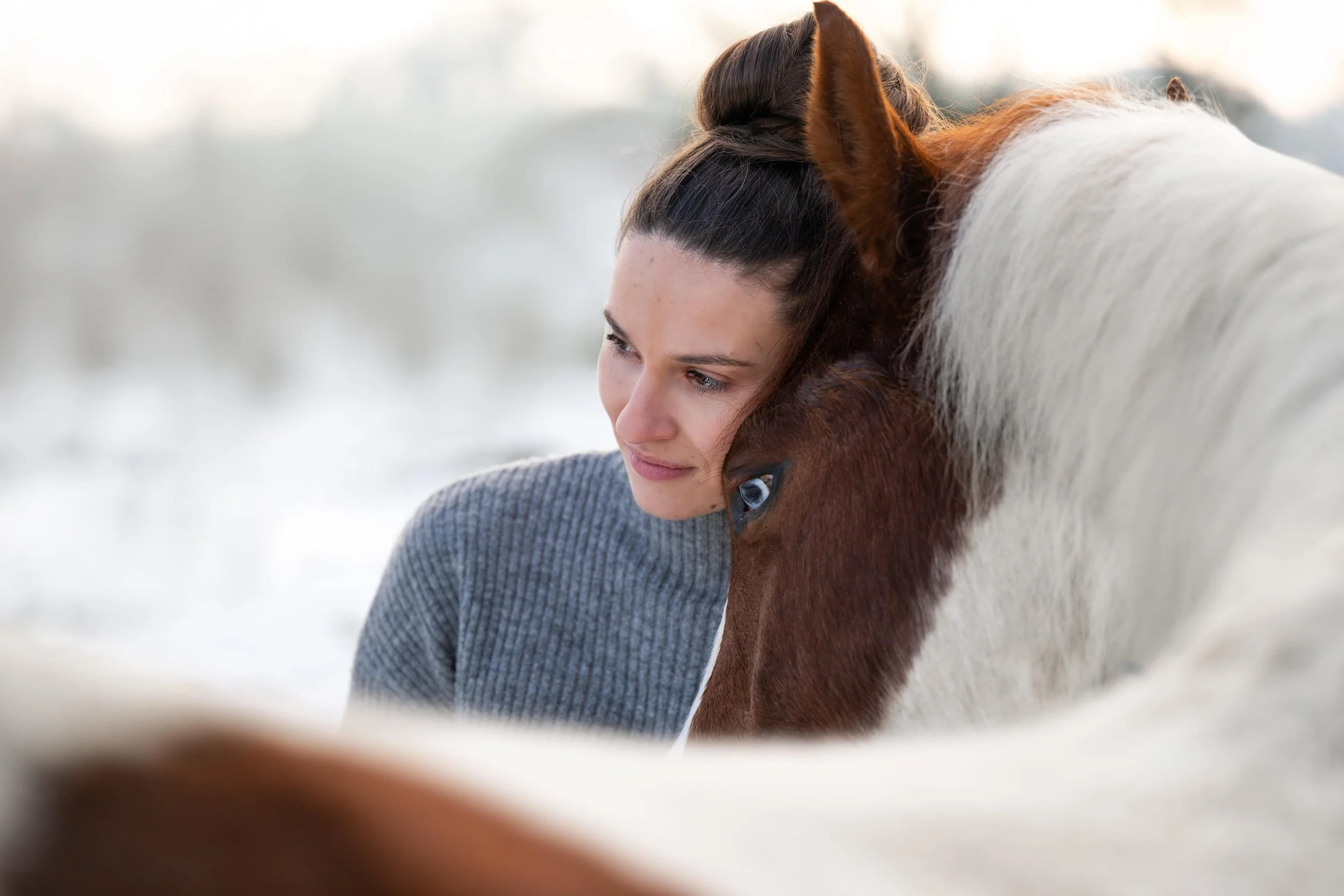 Calin cheval et humain moment complice séance photo hiver Hauts de France