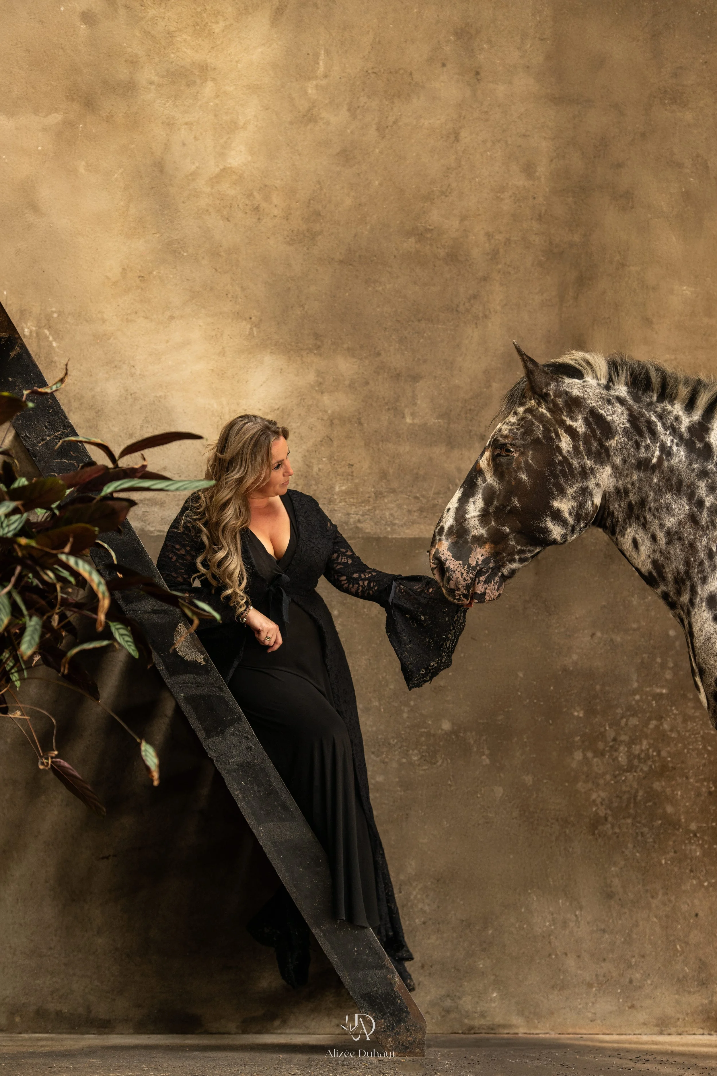 séance photo studio urbain cheval 