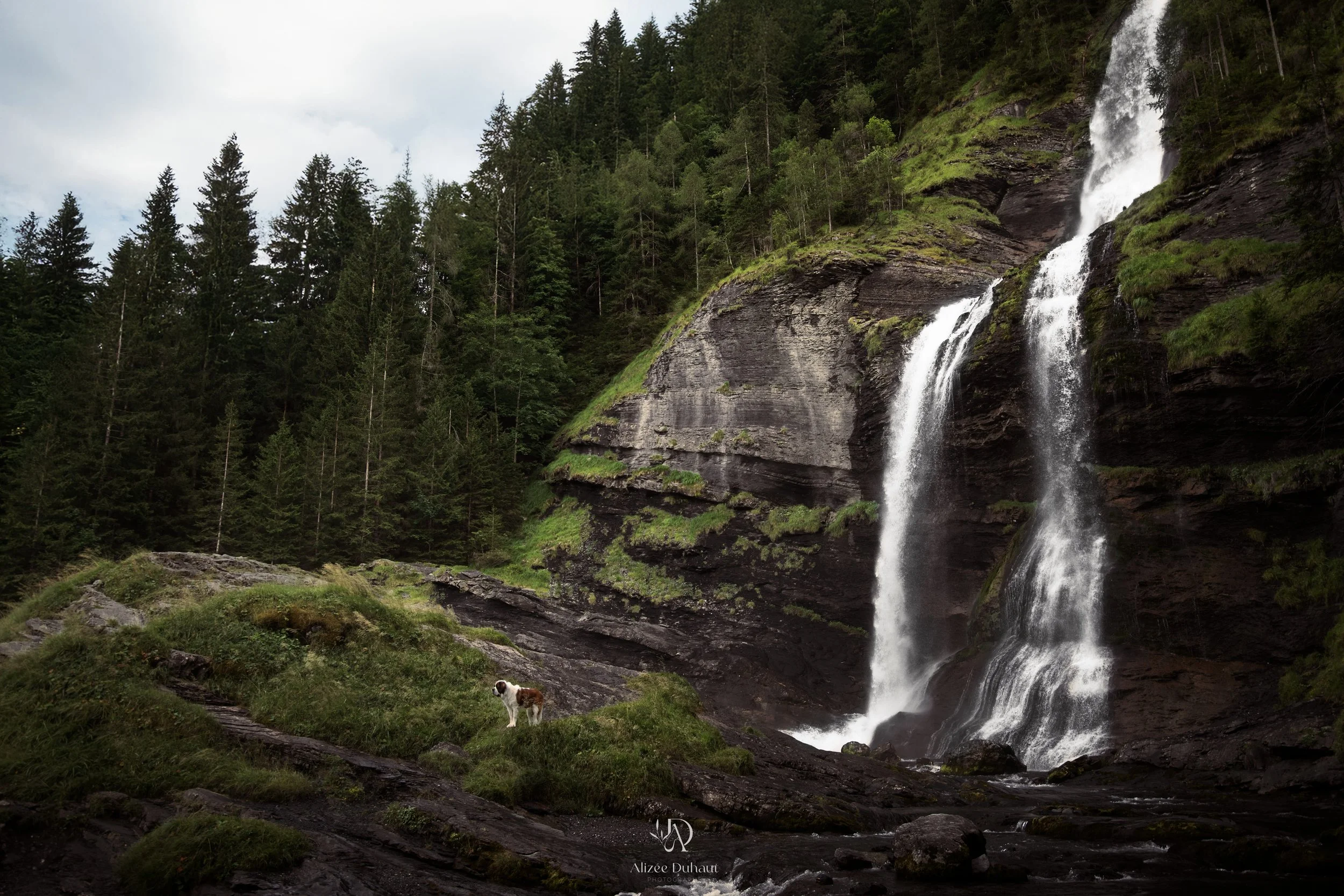 Séance photo avec son chien devant une cascade