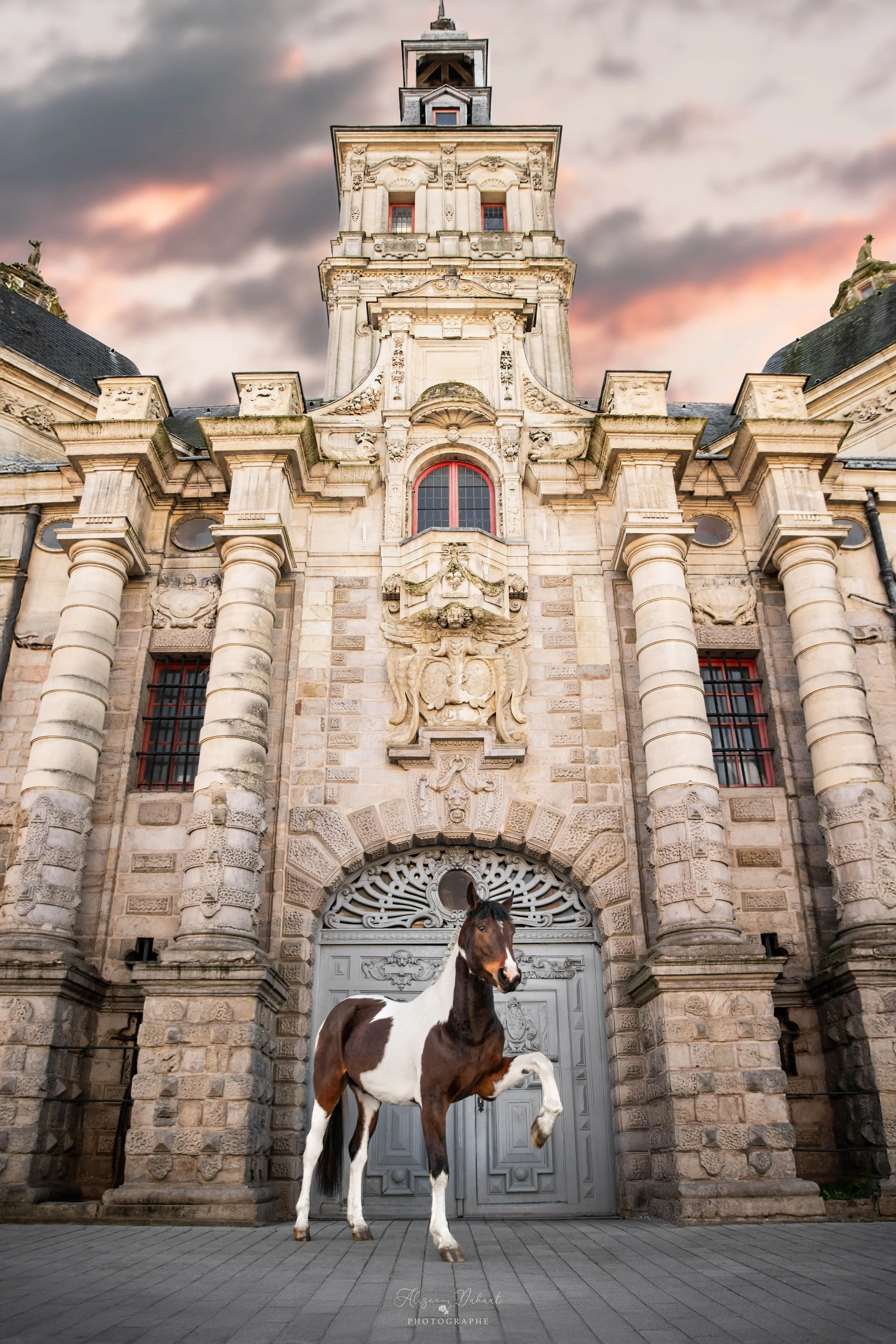 Séance photo cheval dans le centre ville de Valenciennes Hauts de France 