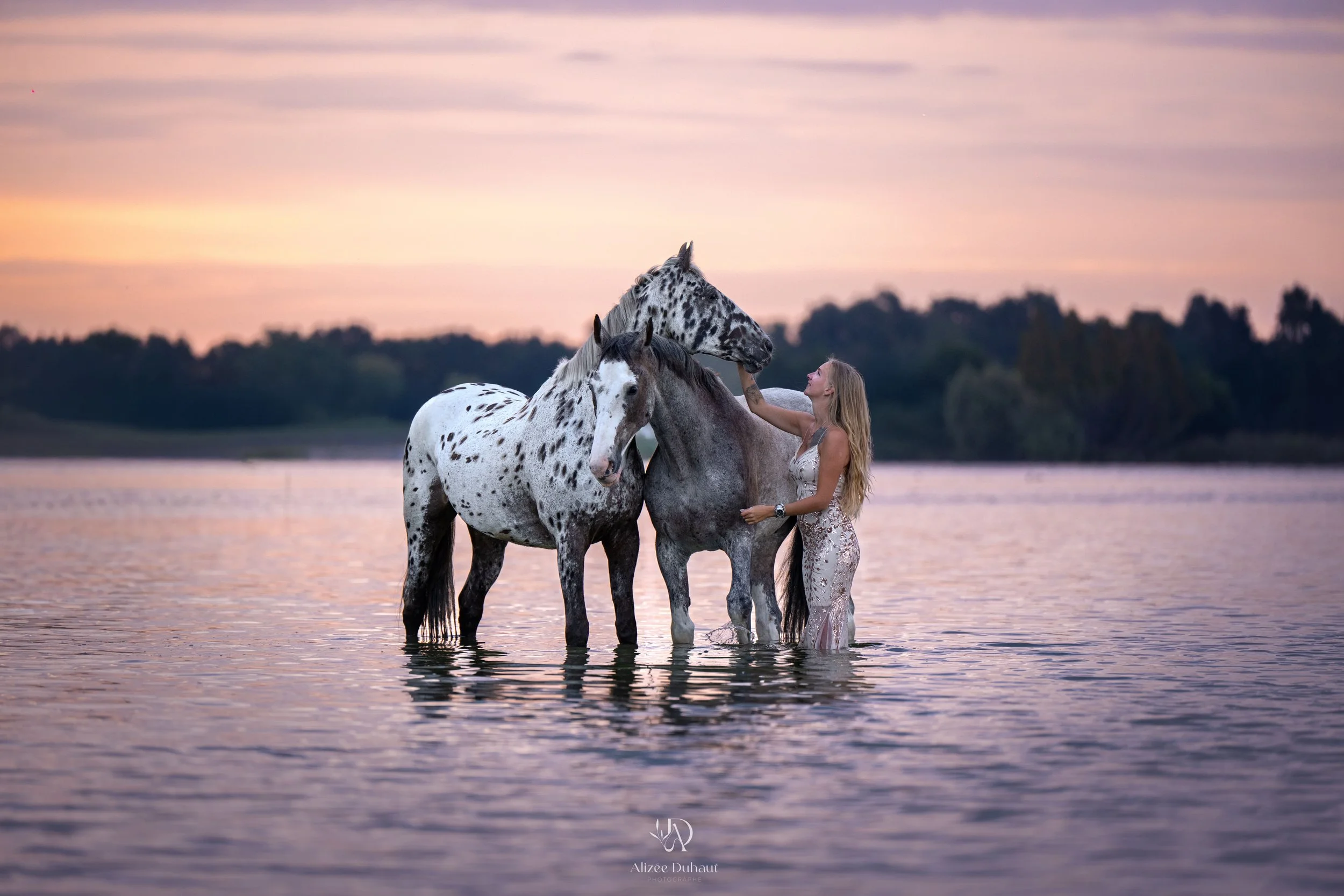 Séance photo avec 2 chevaux dans un lac Hauts de France