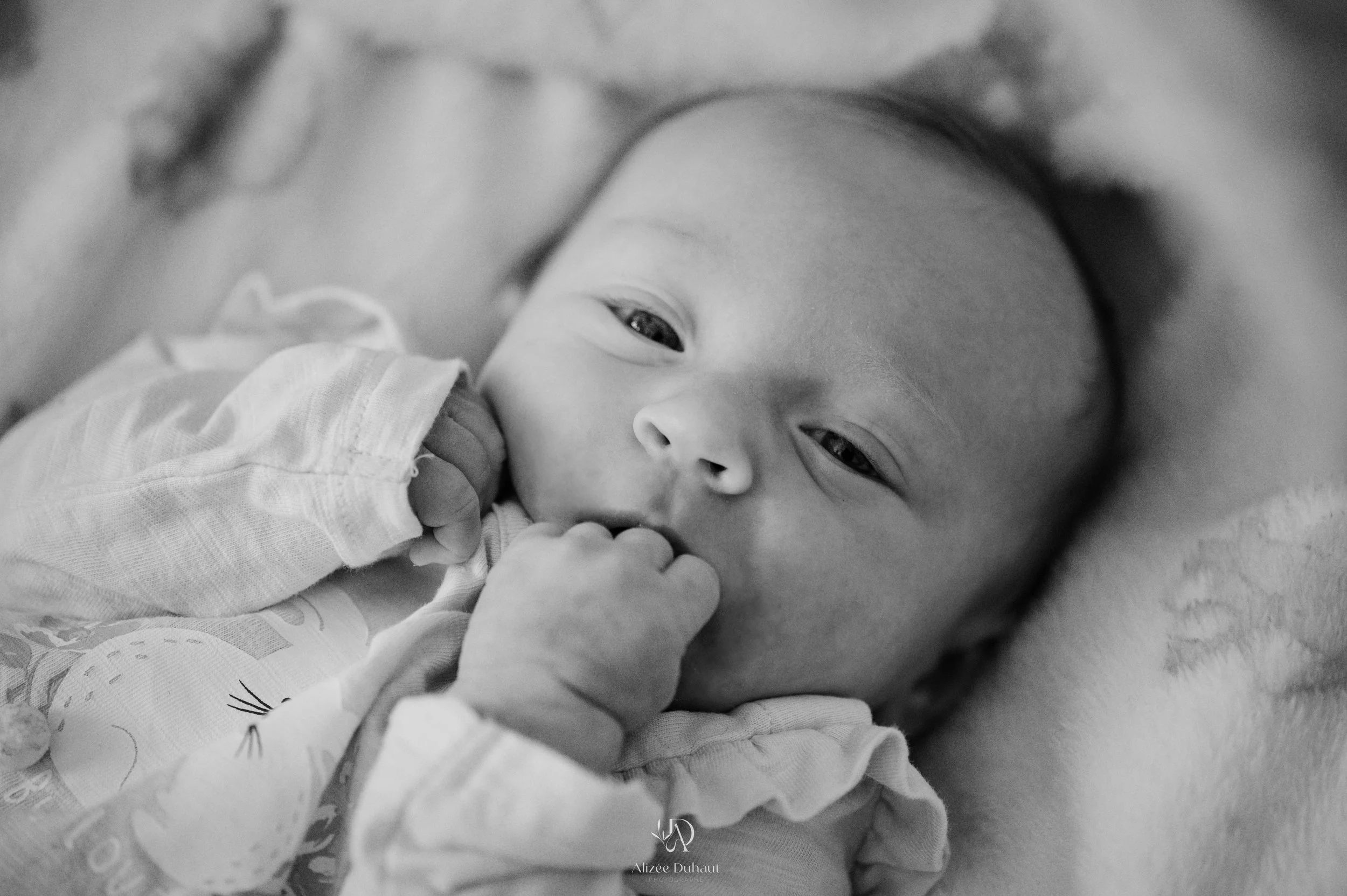 Séance photo bébé 15 jours de vie