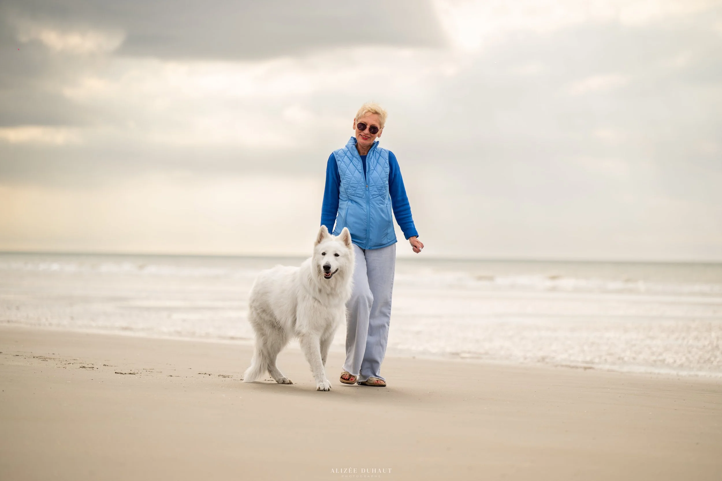 portrait chien doux photographe animalière plage Dunkerque