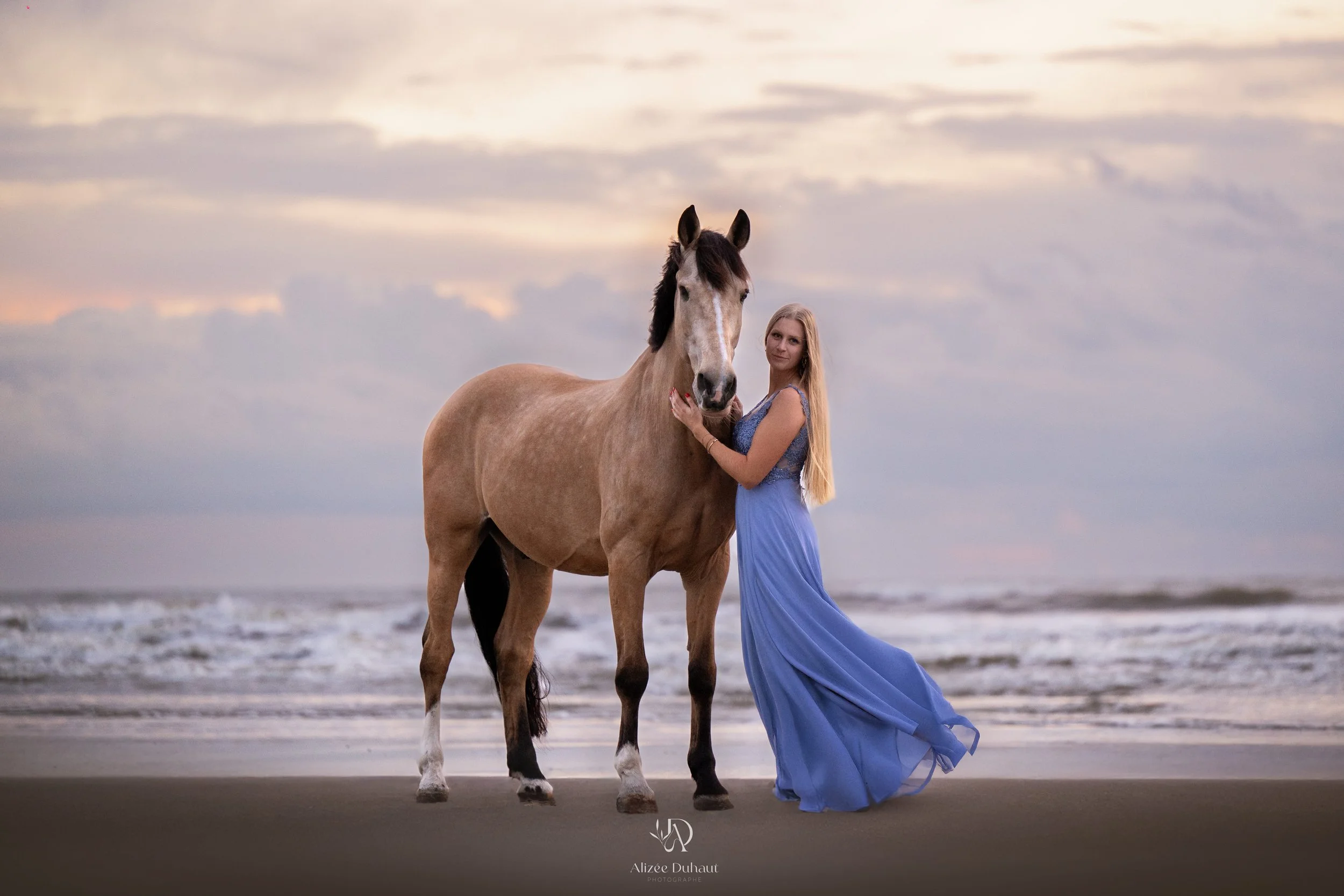 Séance photo cheval plage coucher de soleil Nord