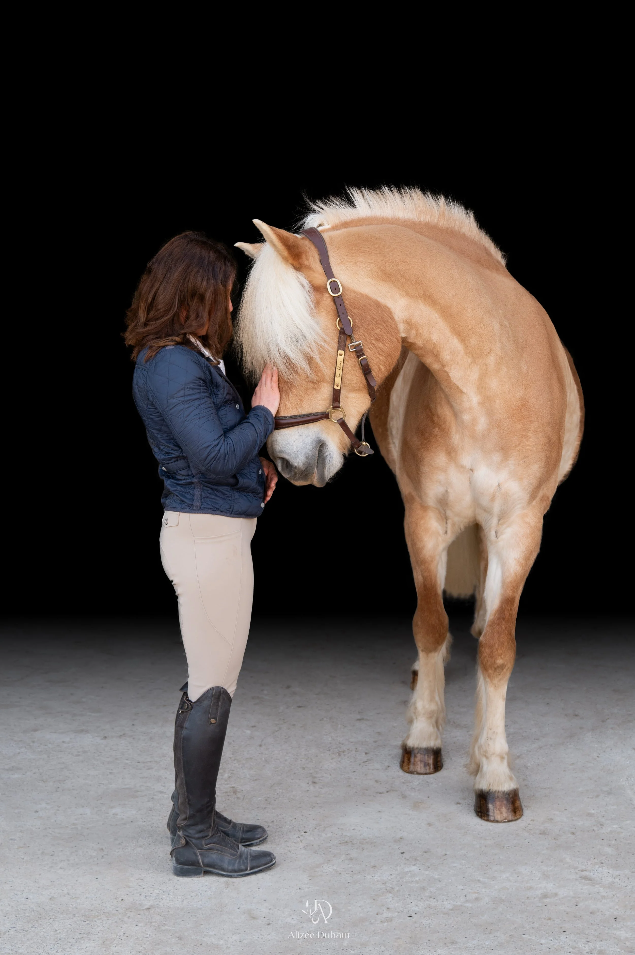 Séance photo fond noir cavalier cheval Béthune