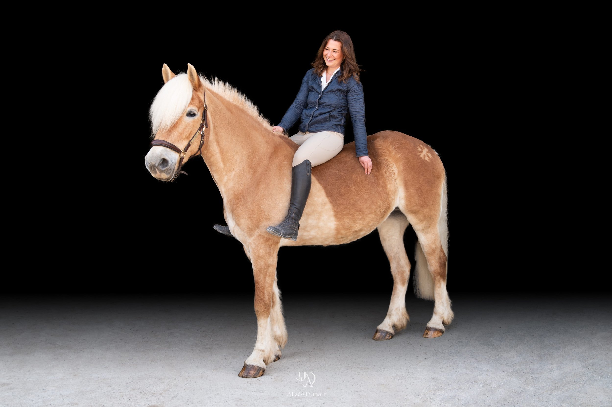 Séance photo fond noir cavalier cheval Béthune