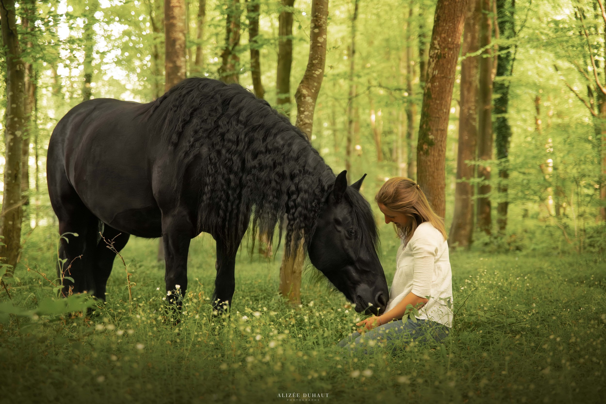 cheval et propriétaire lien émotionnel en forêt Lens