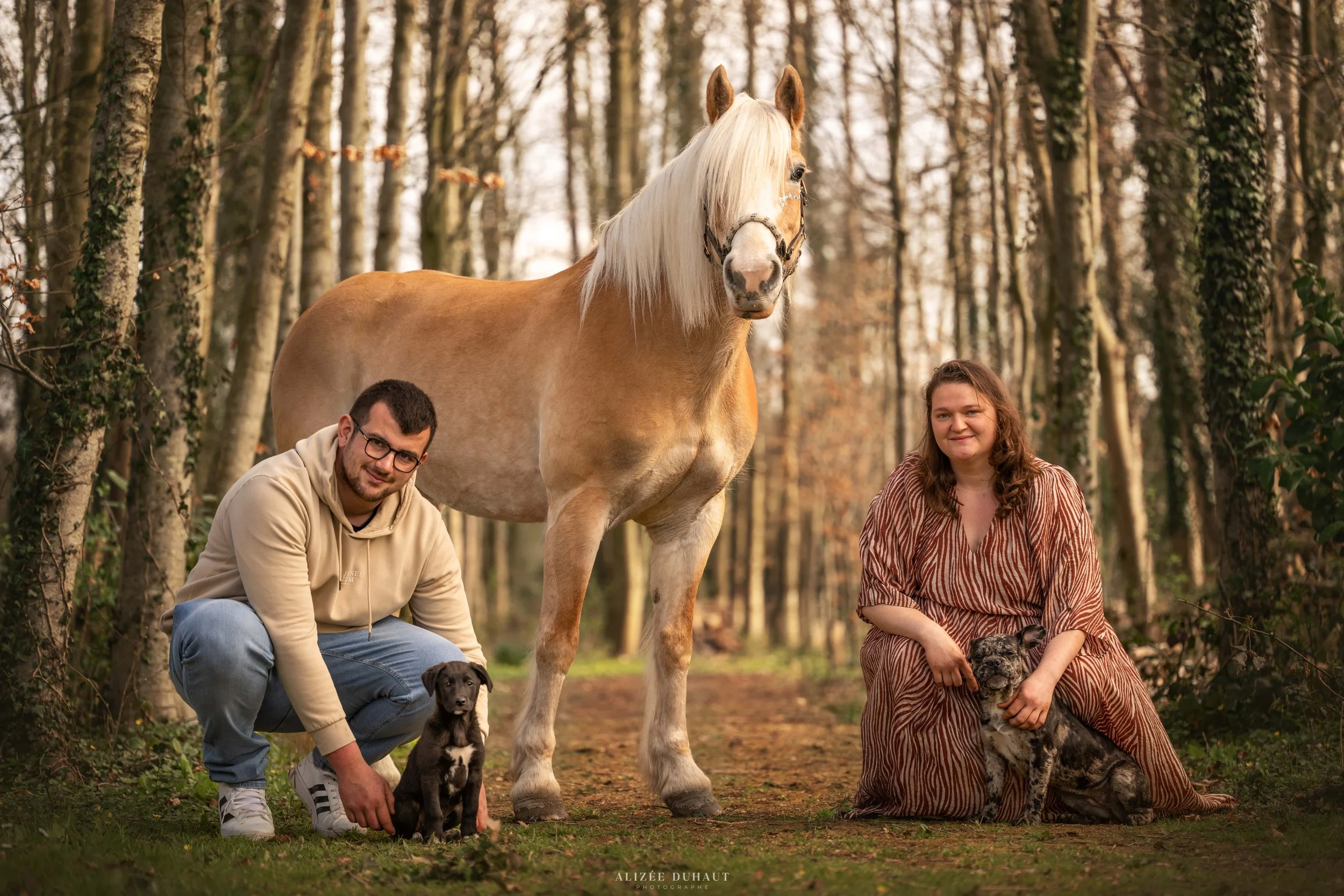 Séance photo animalière en famille avec cheval chien