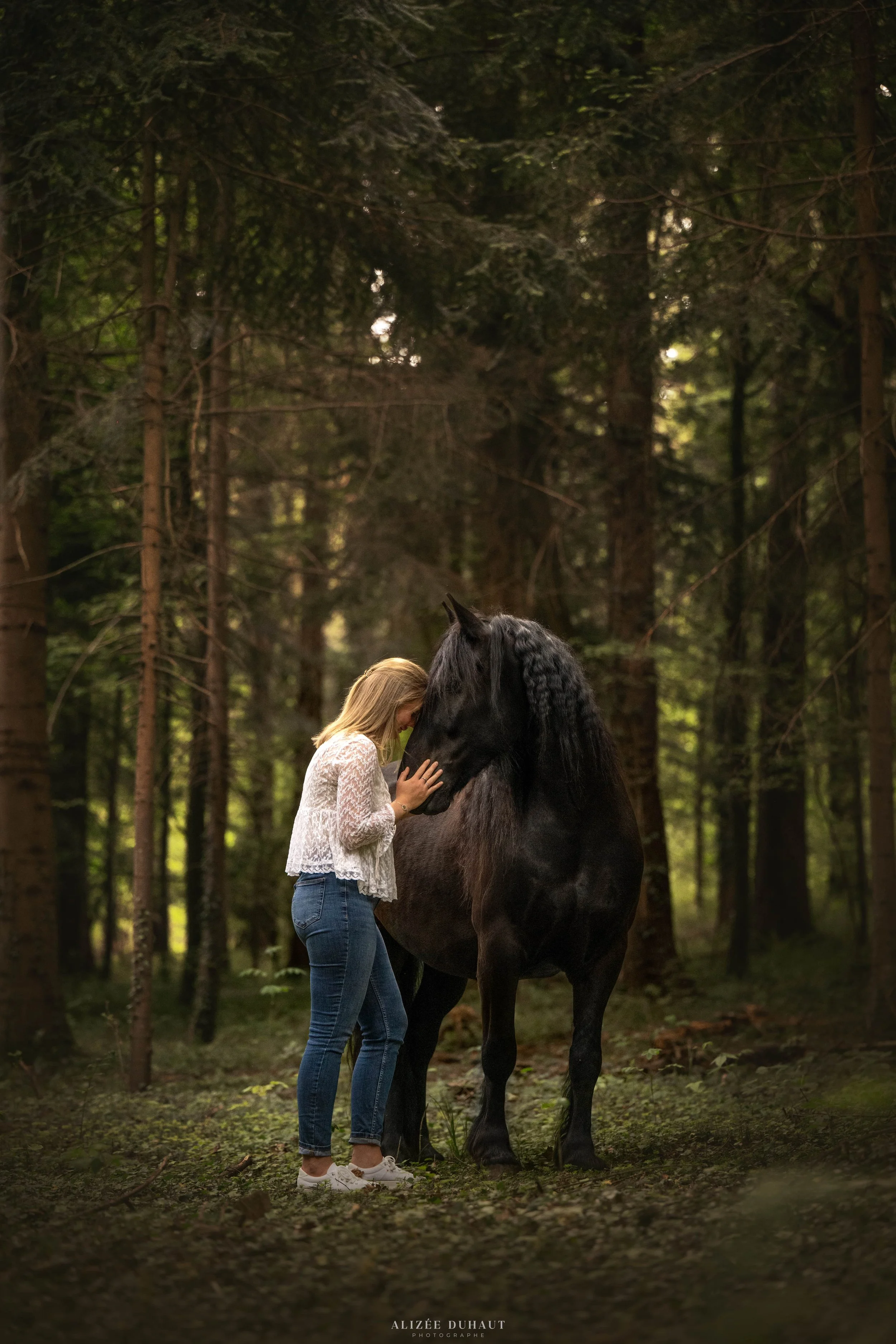 Séance photo en forêt avec un cheval et sa cavalière complicité Lens