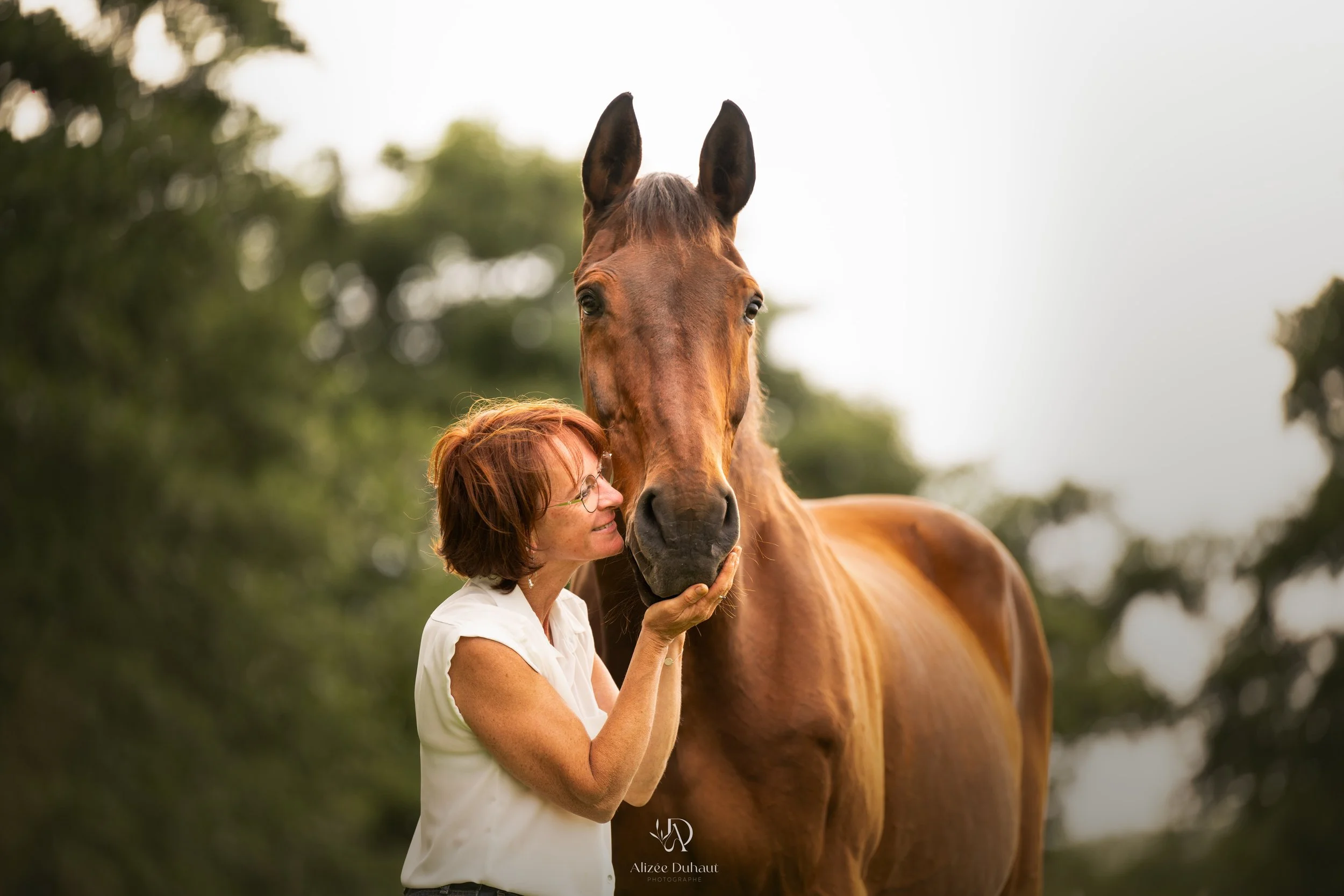 bisous complicité cheval et humain dans un pré, Hauts de France