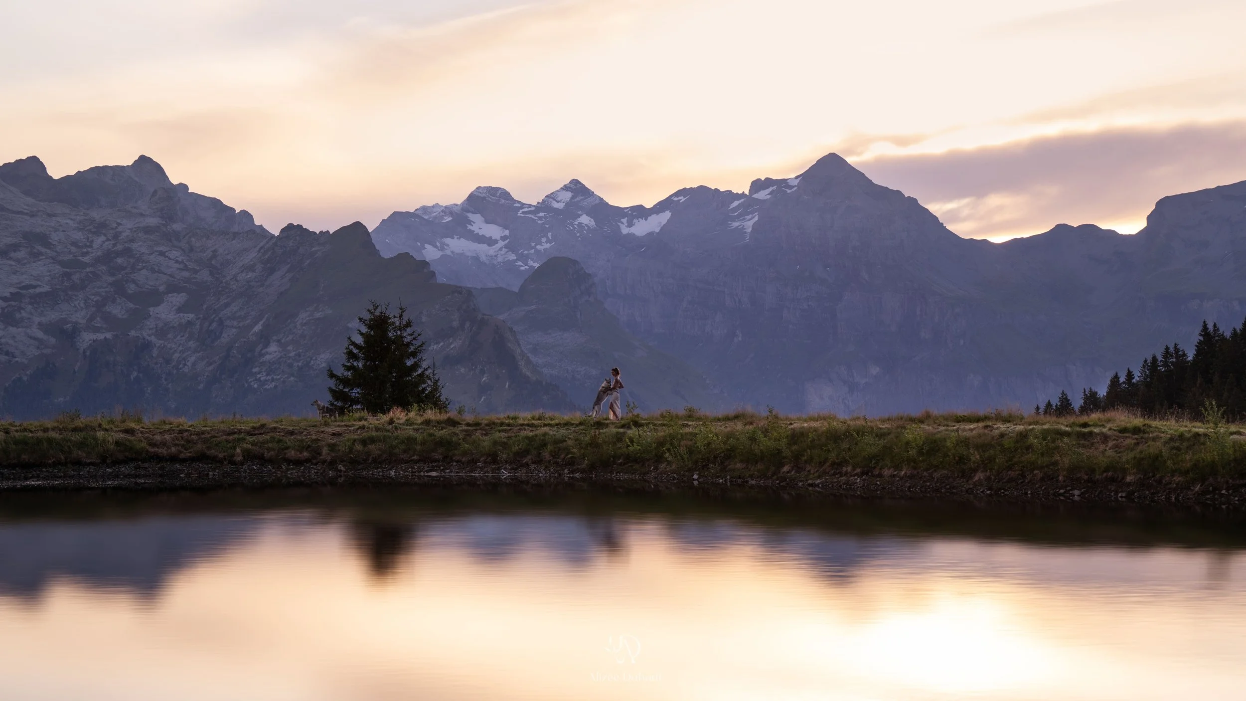 portrait chien complicité montagne paysage