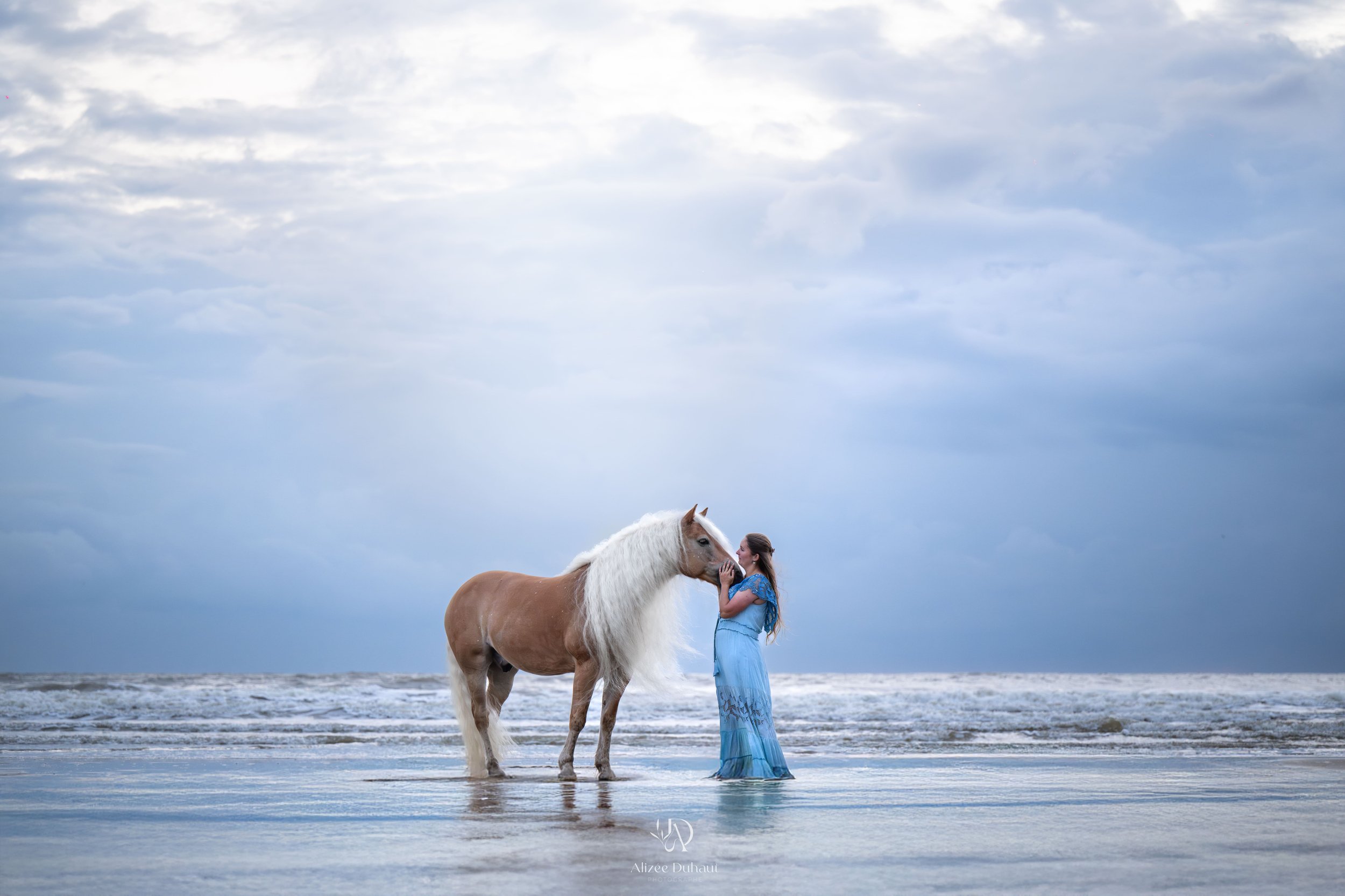 séance photo complicité cheval humain plage Hauts de France