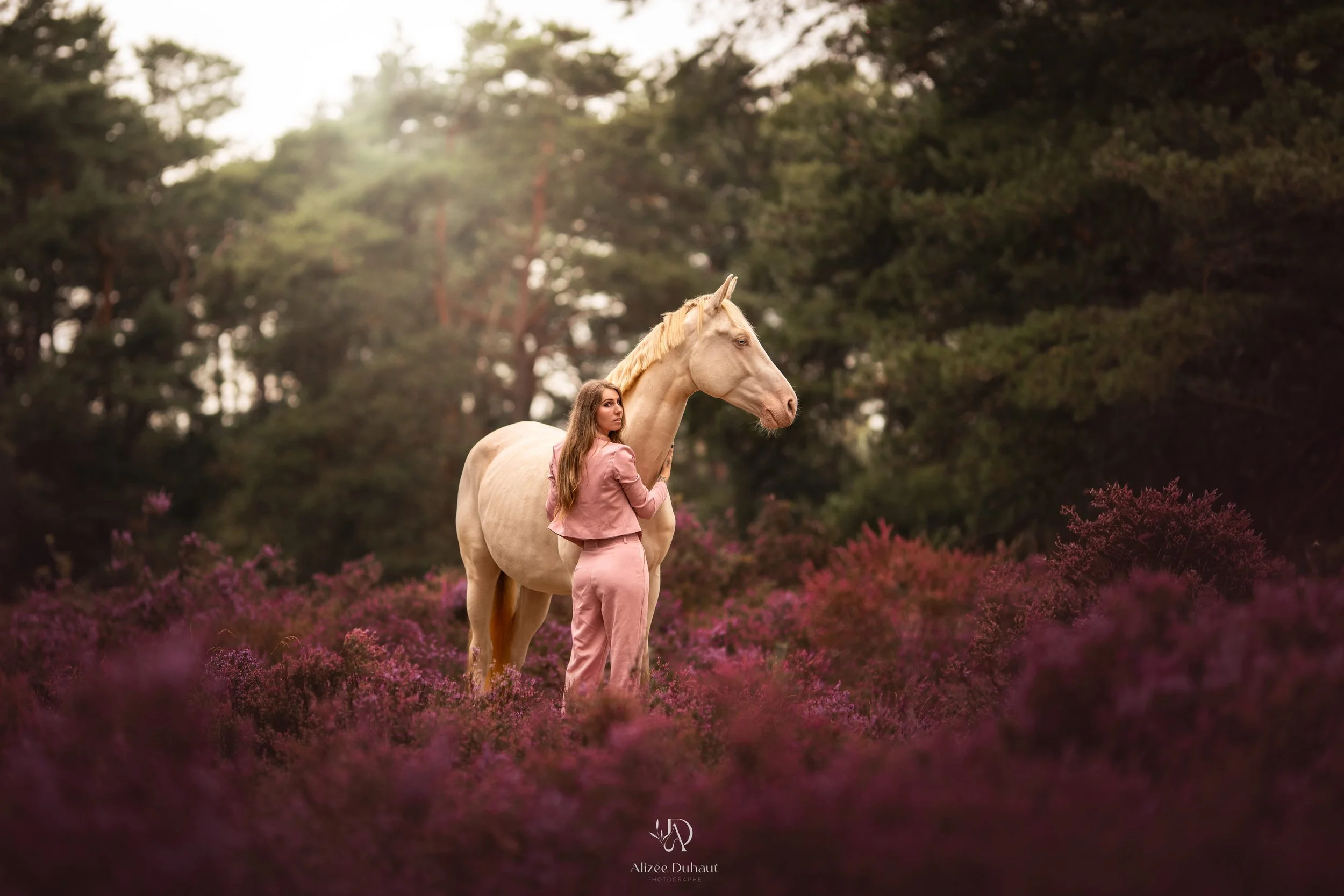 Cheval et sa cavalière bruyère séance photo