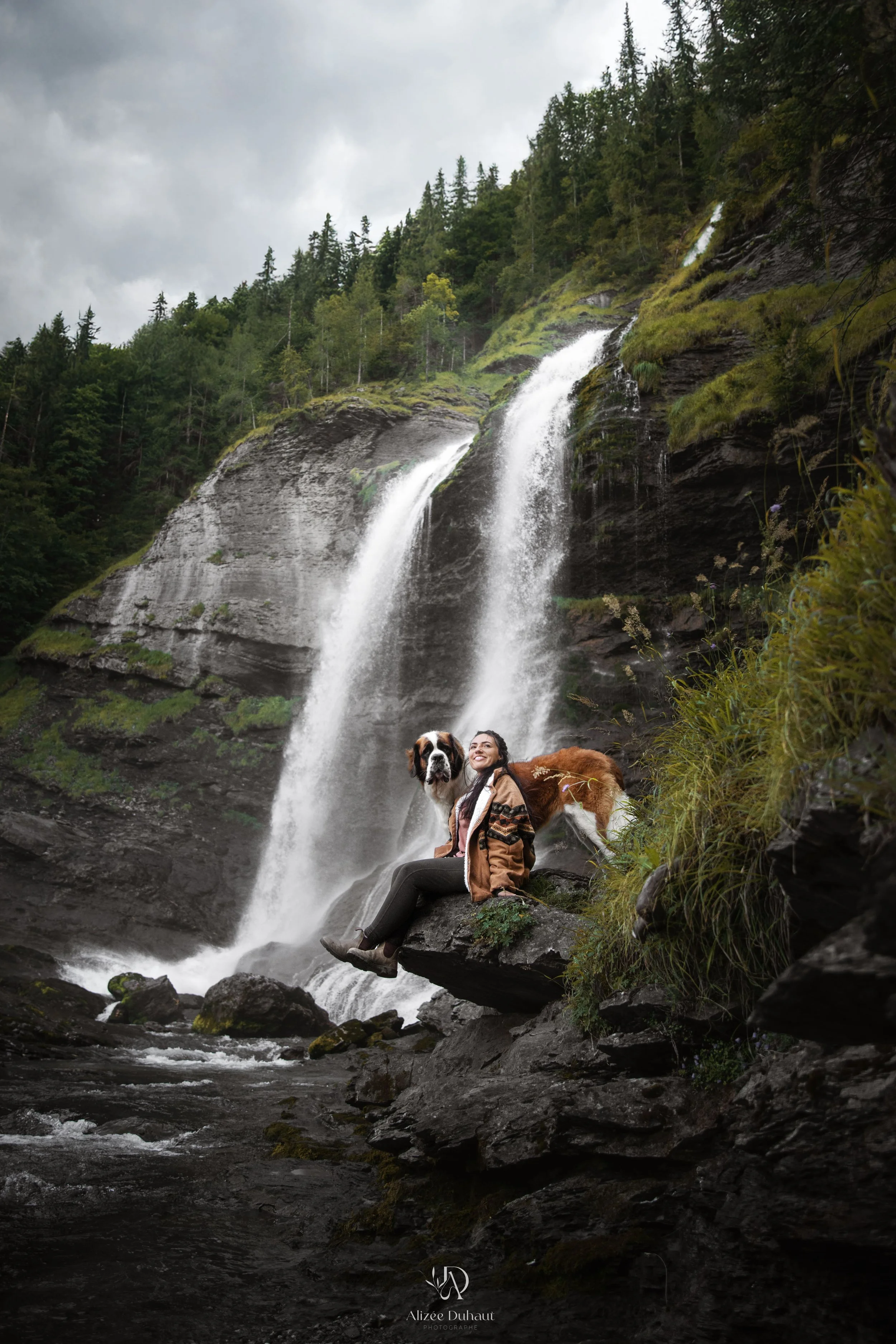 Séance photo avec un saint bernard cascade de Samoens en Haute Savoie France