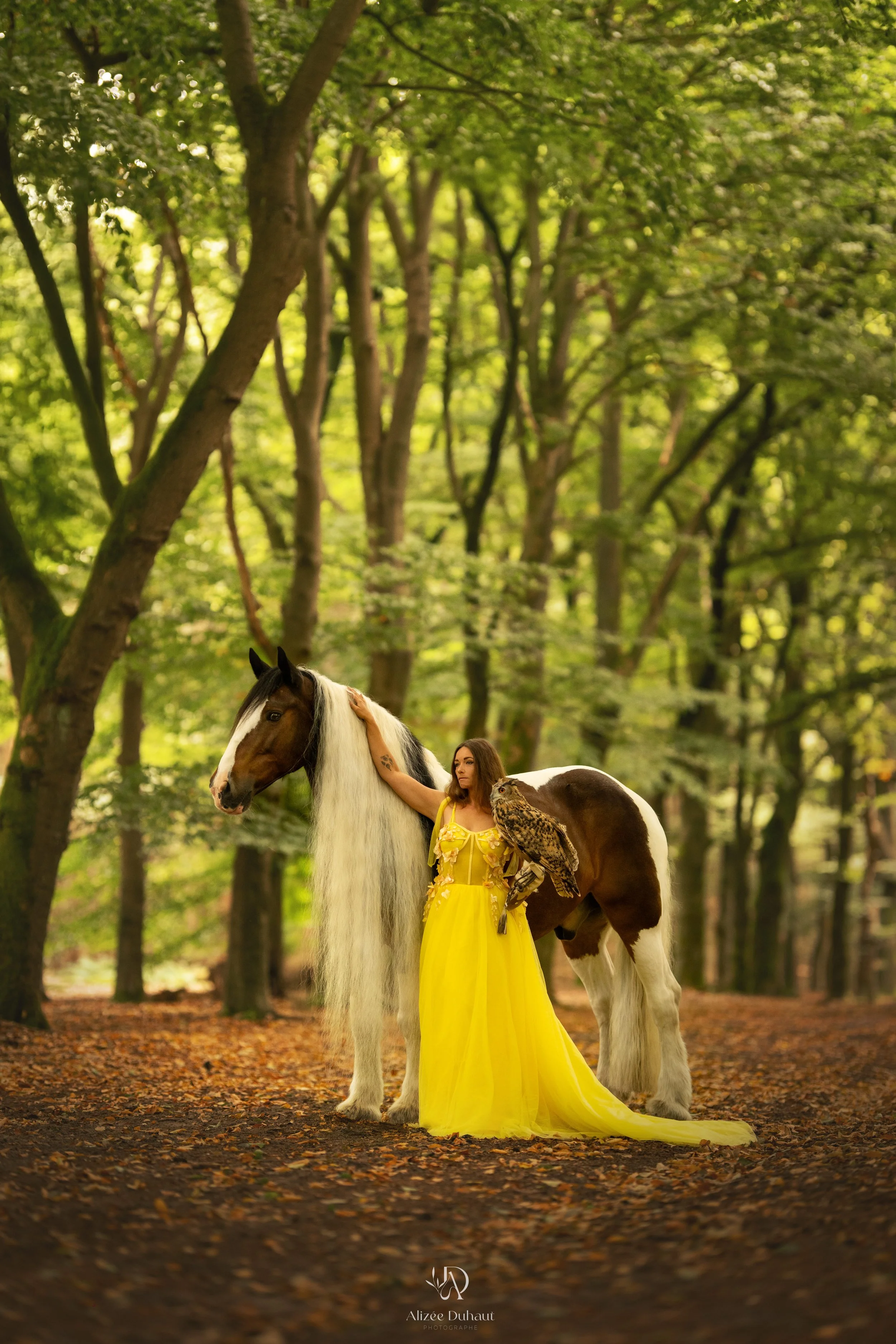 Séance photo insolite cheval et rapace en forêt Lens