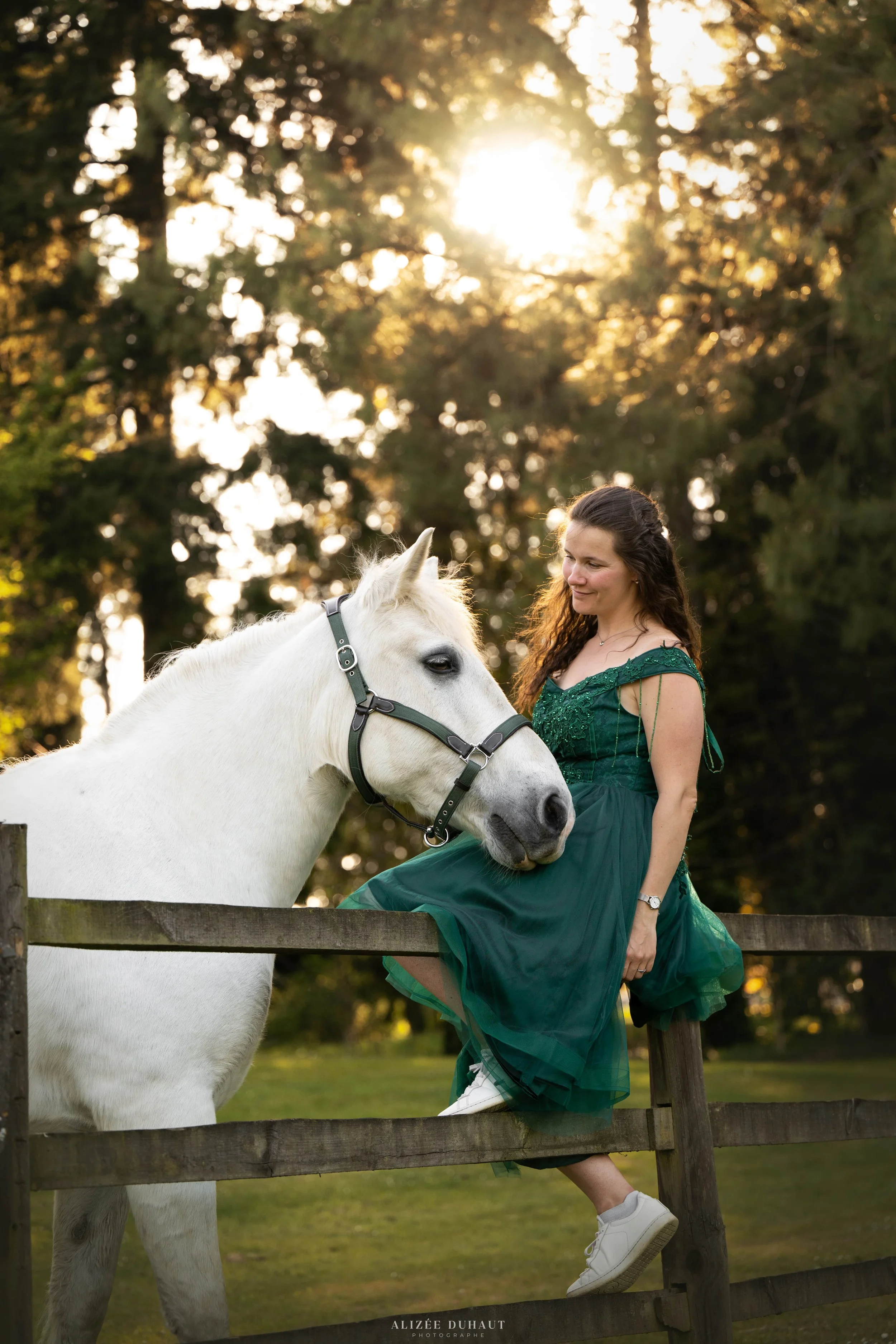 portrait cheval tête de profil coucher de soleil Picardie