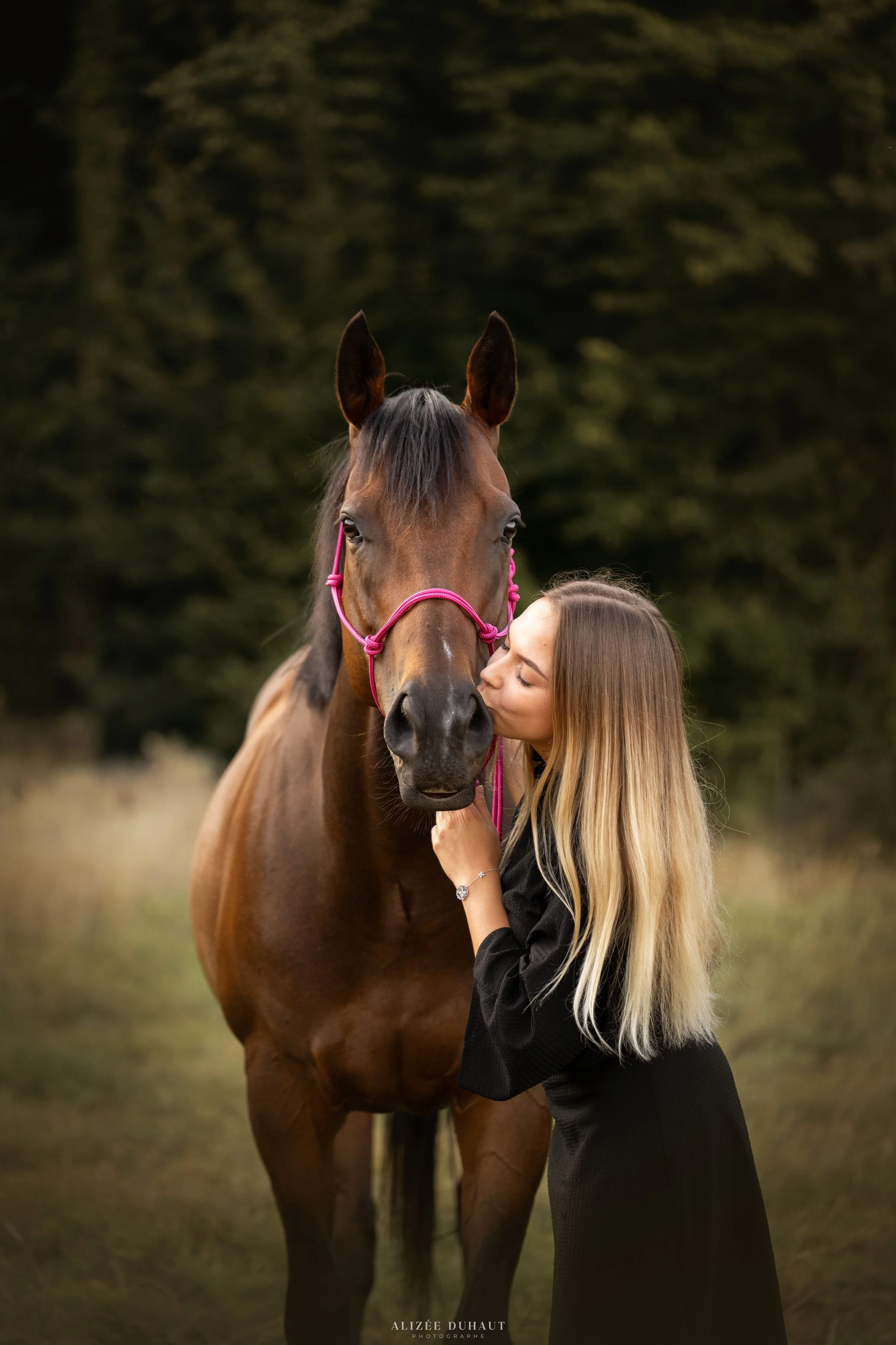 séance photo cheval en prairie, Aix Noulette