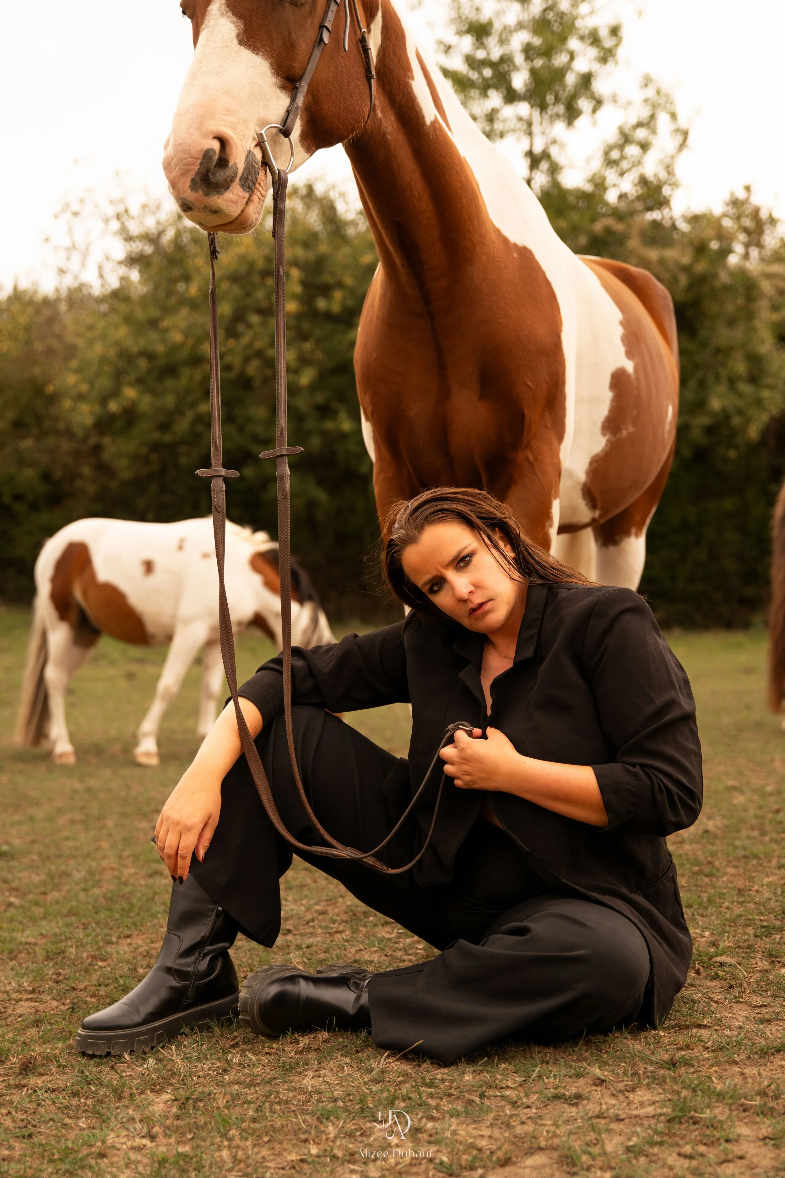 Portrait mode avec un cheval, Hauts de France
