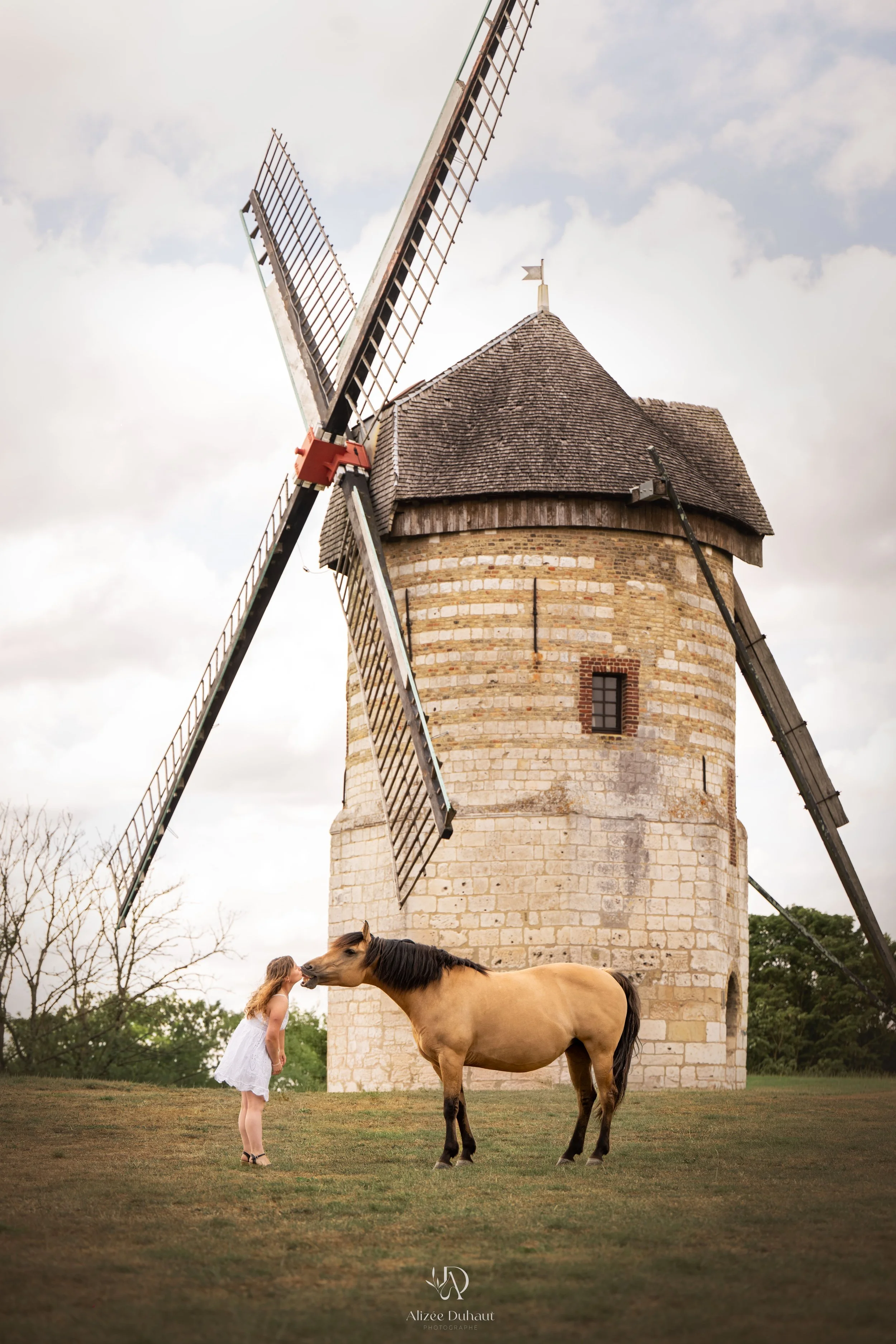 séance photo cheval émotionnelle devant moulin Hauts de France