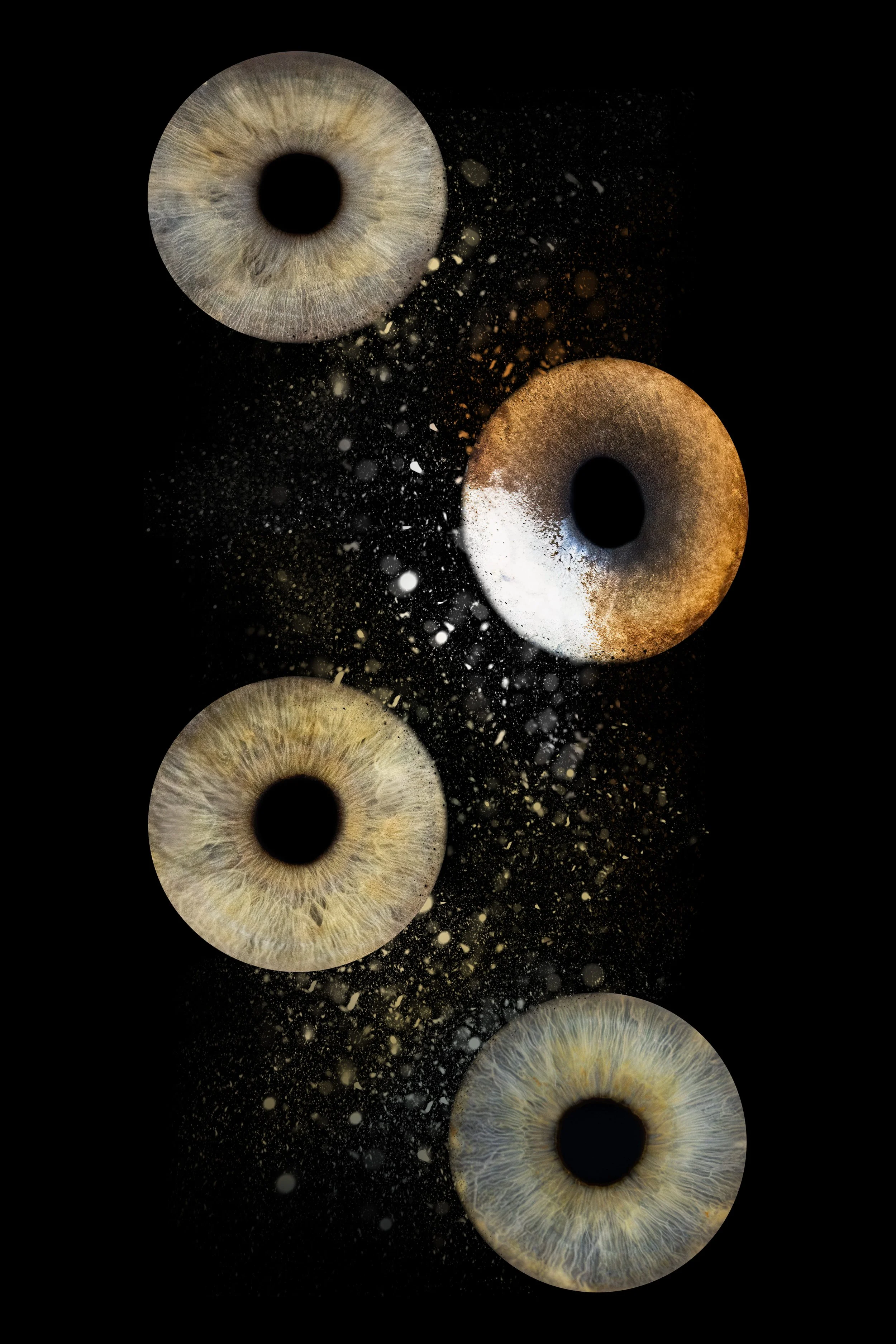 Iris Jean deuxième version.jpg