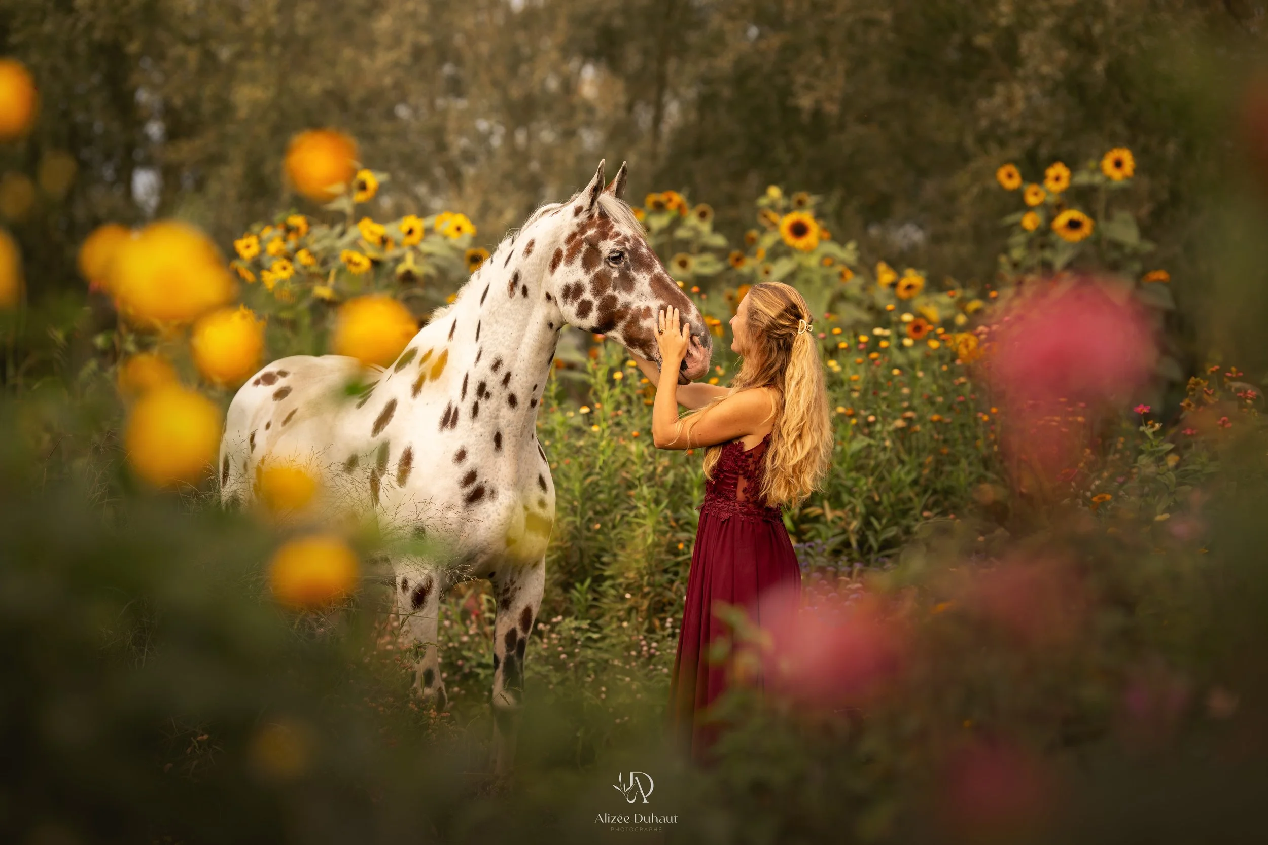 Séance photo printemps cheval cavalière
