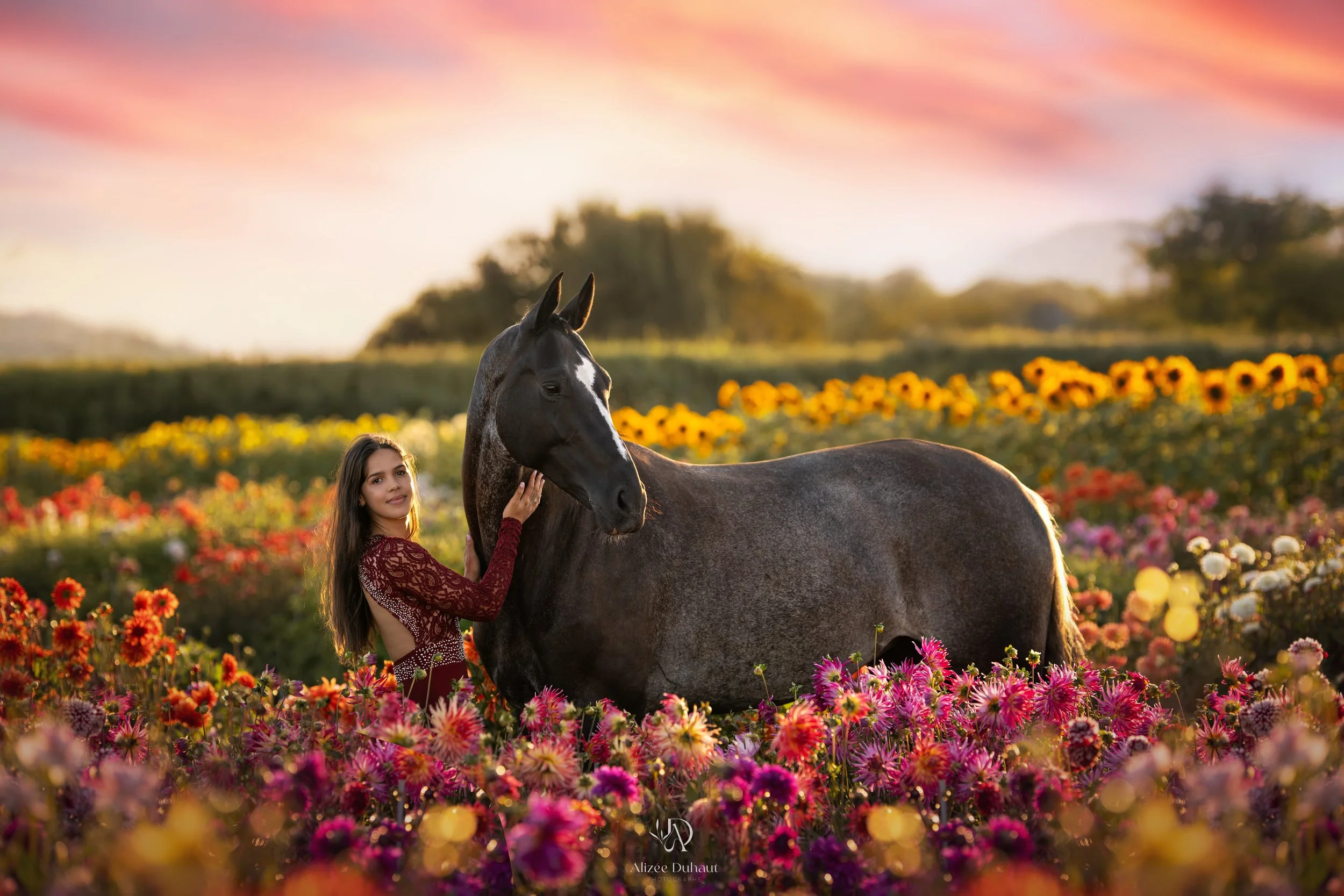 Séance photo coucher de soleil cheval 