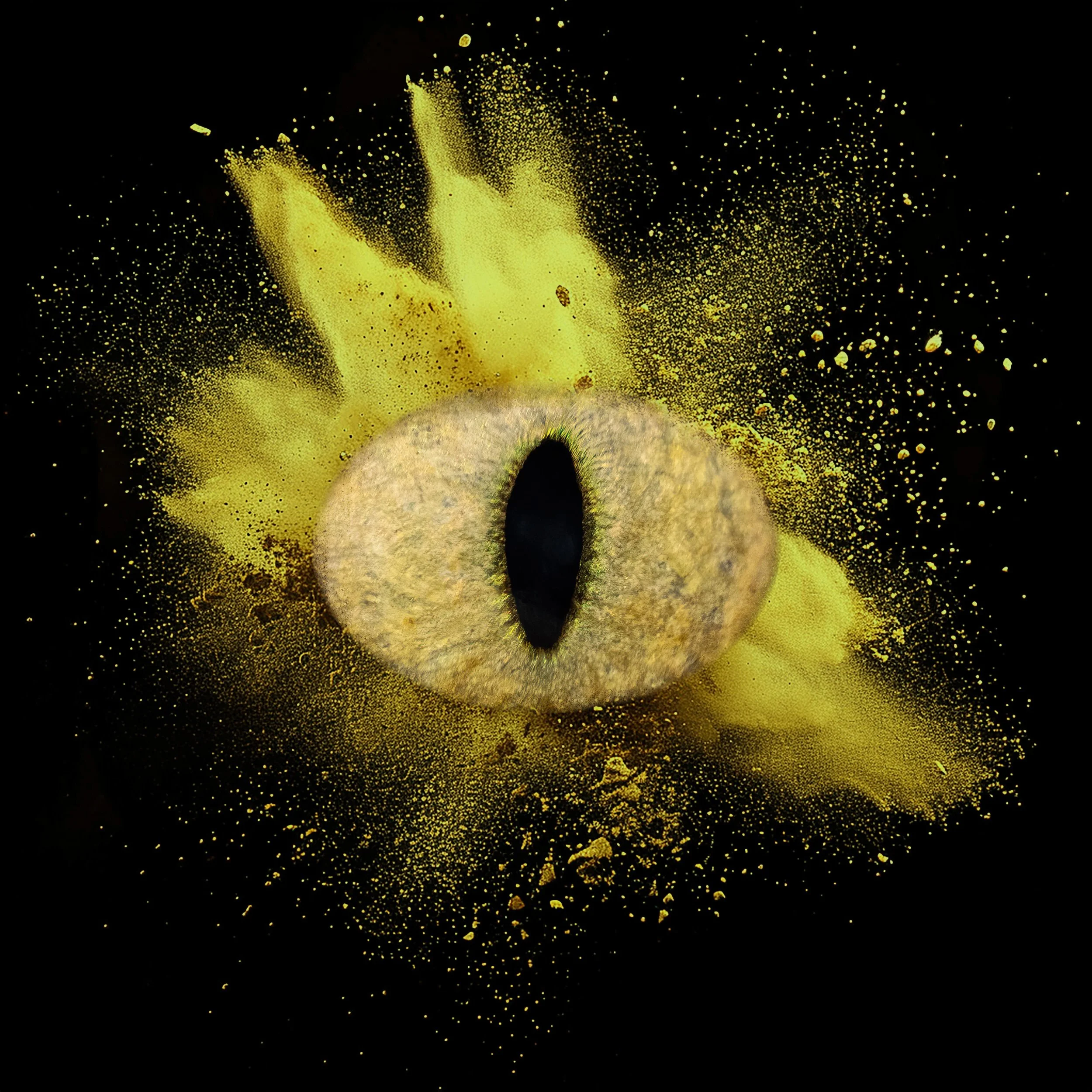 POWDER-EFFECT (13)-min.jpg
