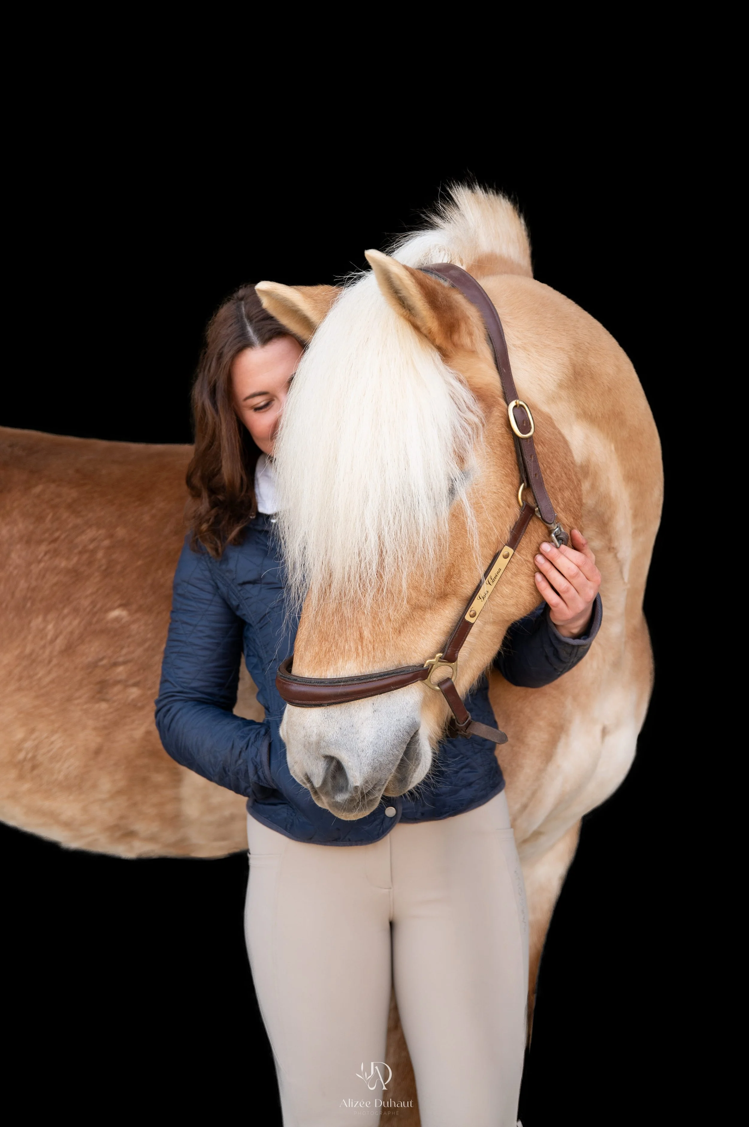 Séance photo fond noir cavalier cheval Béthune