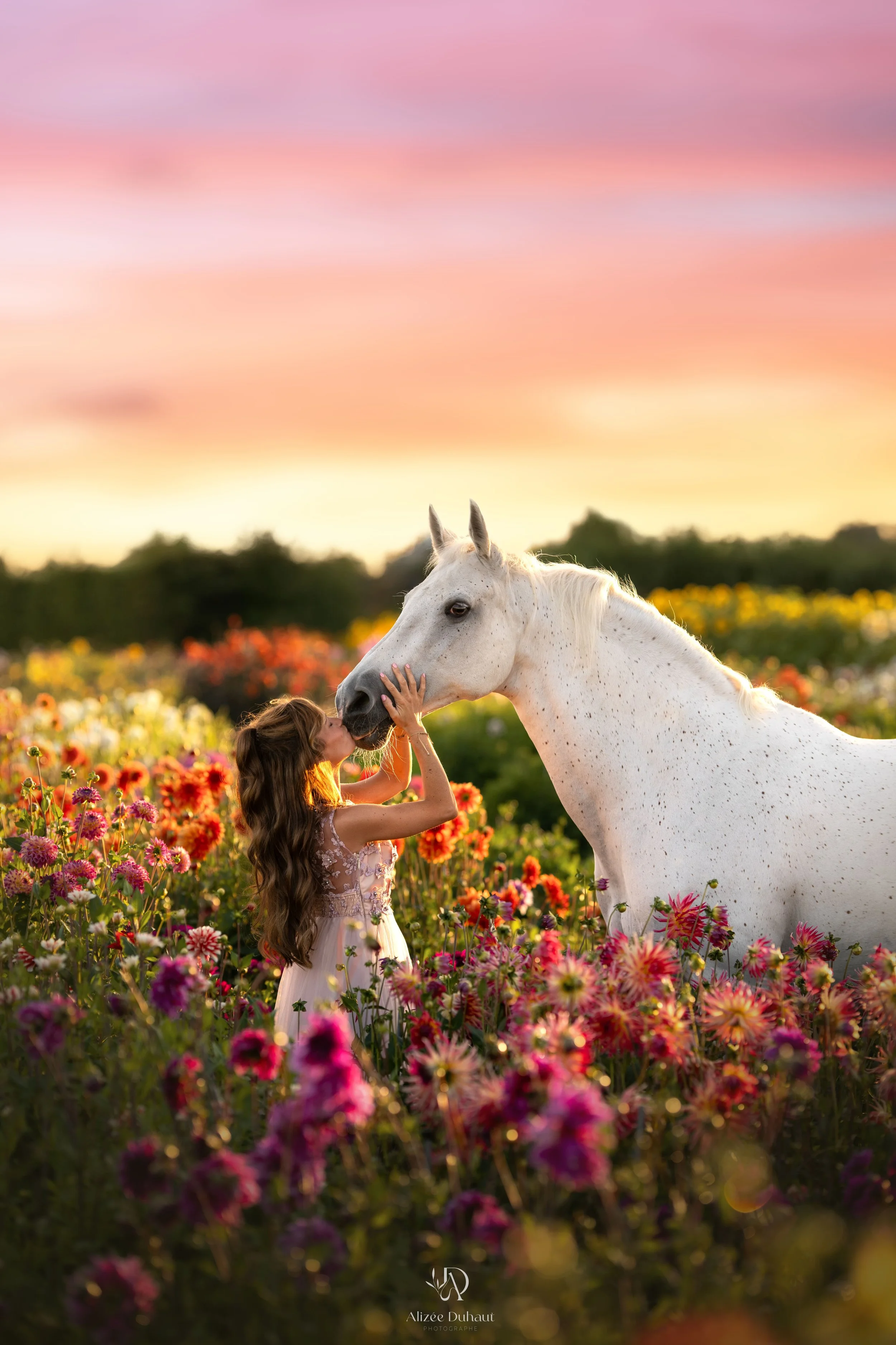 séance photo cheval dans un champs de fleurs colorées moment de complicité
