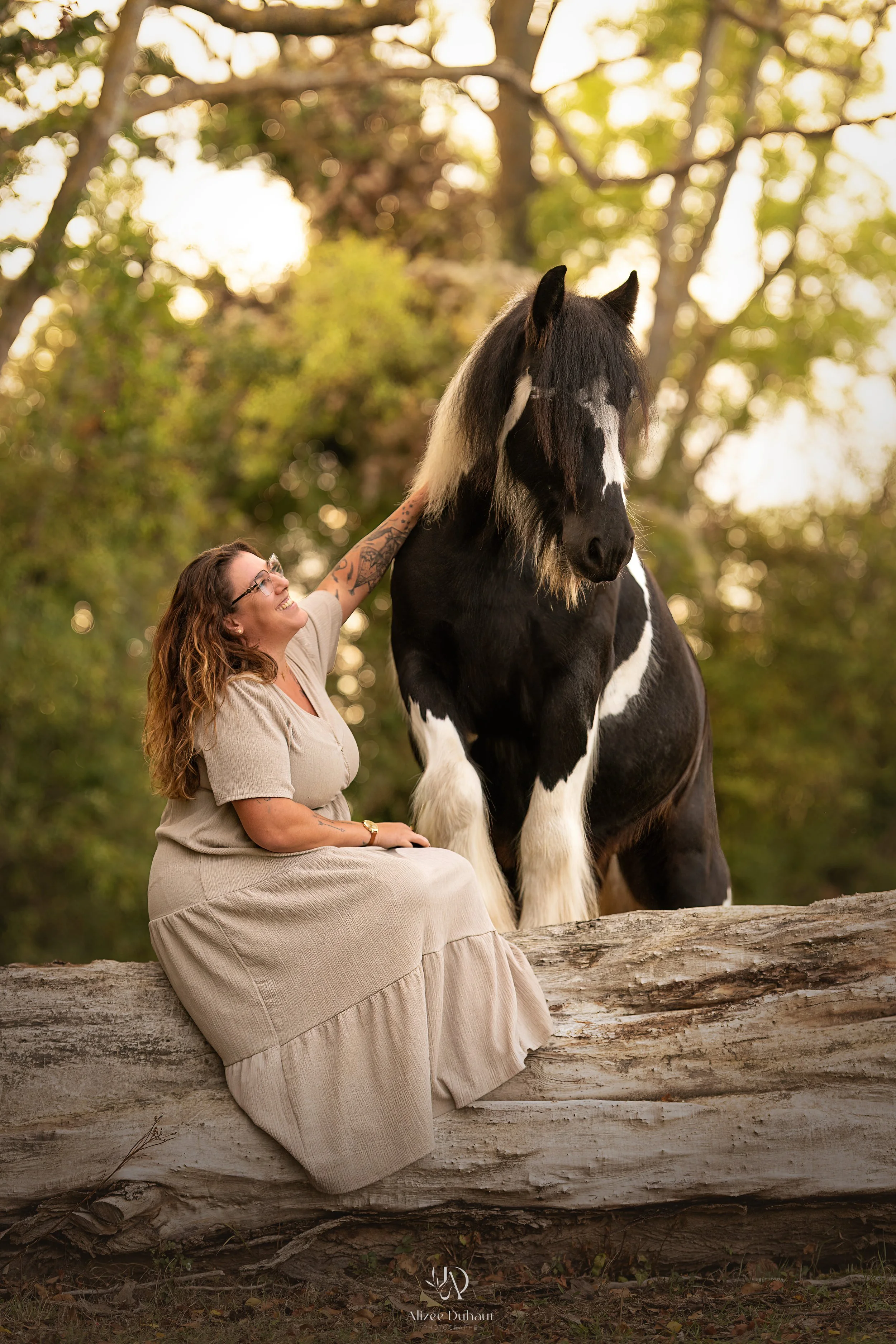 Portrait cheval et sa cavalière dans leur pré Hauts de France, Béthune