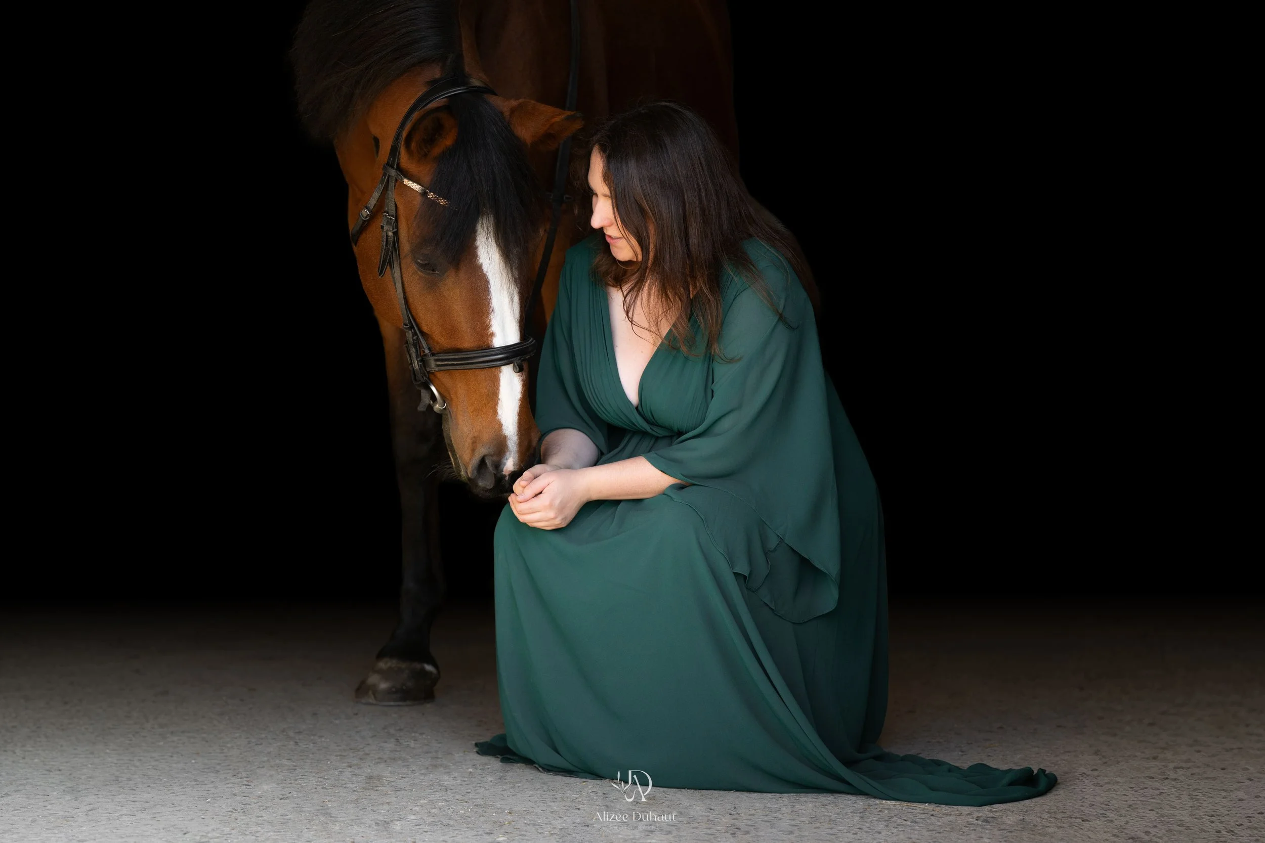 séance photo cheval sur fond noir