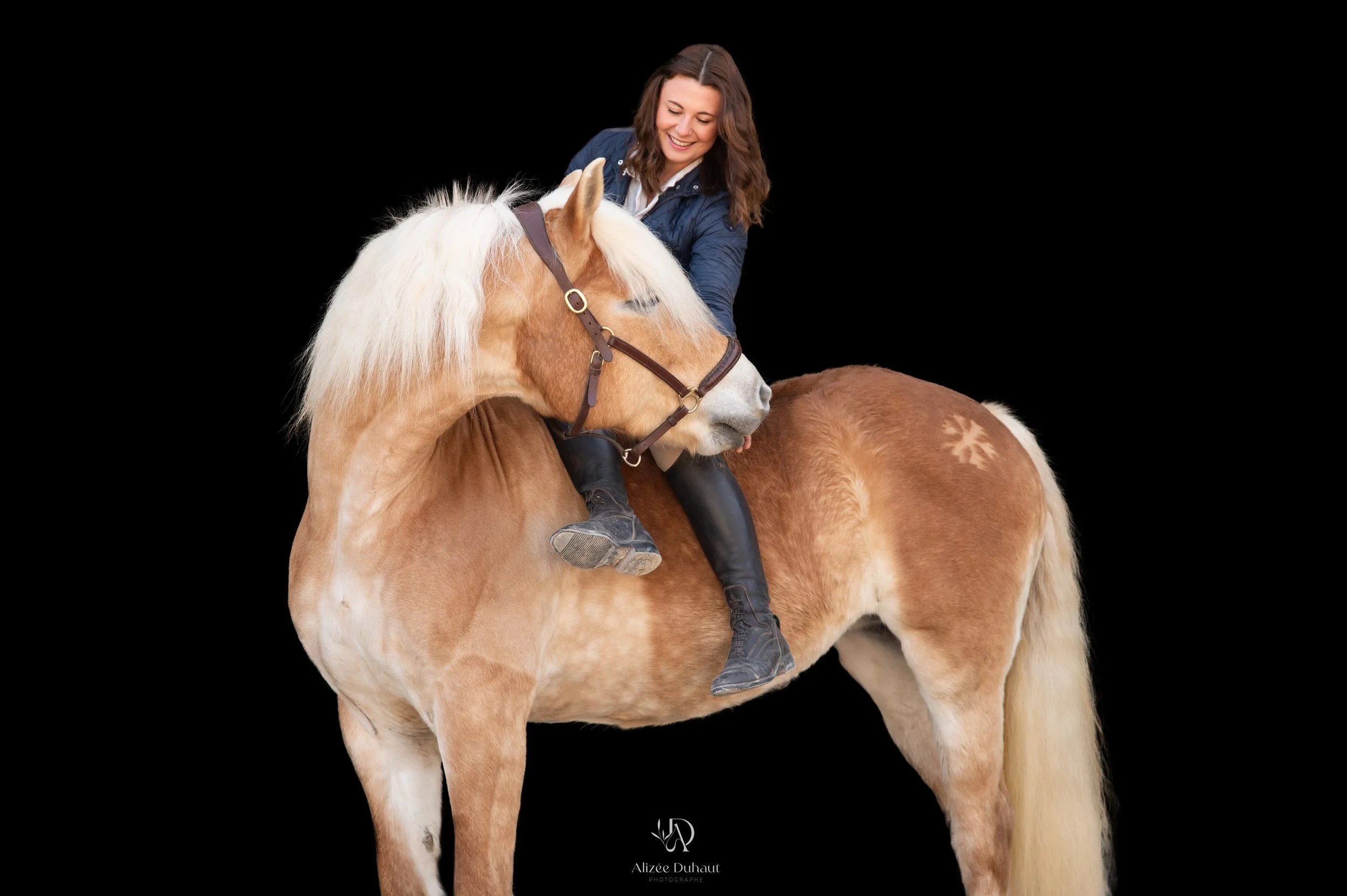 Séance photo fond noir cavalier cheval Béthune