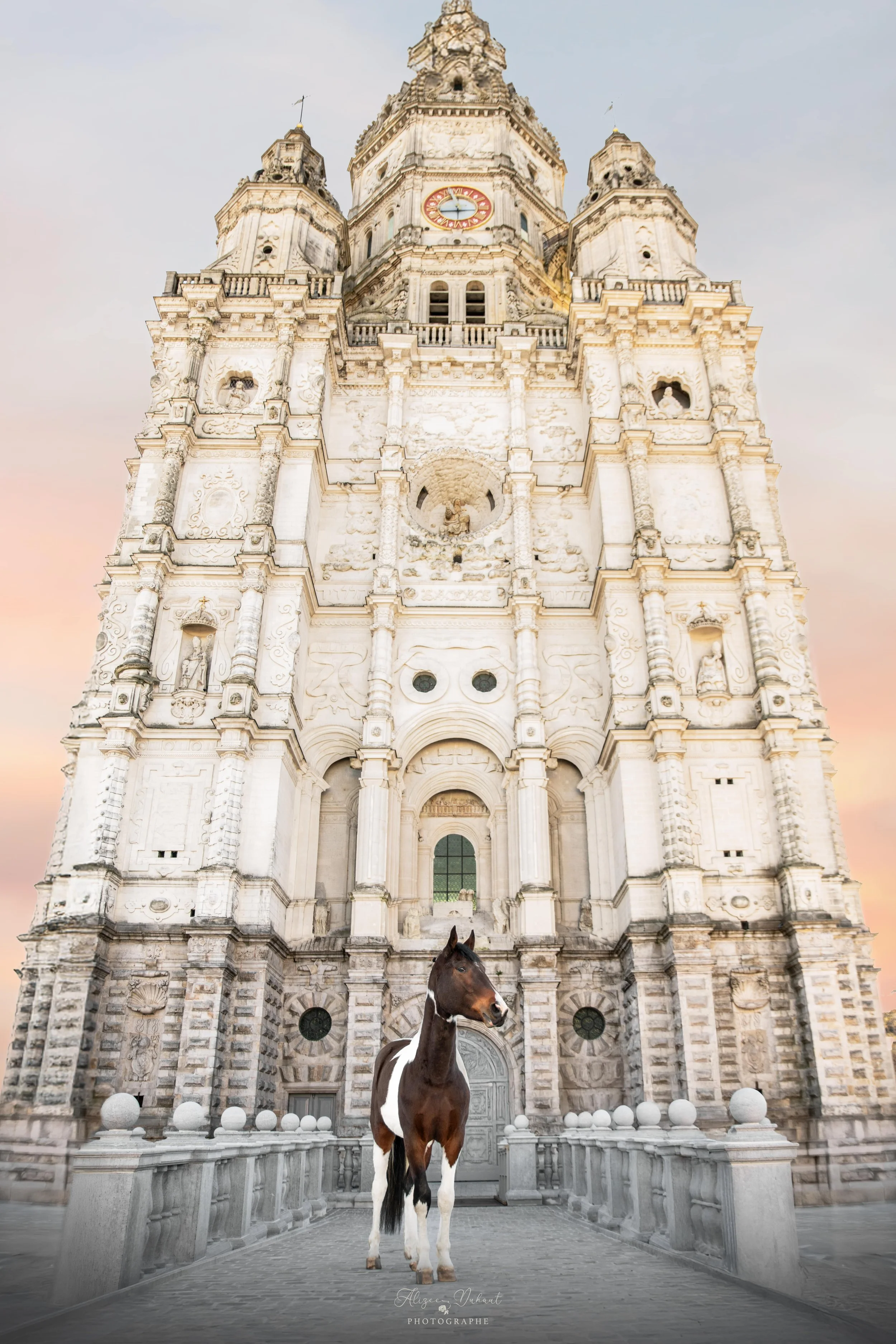Portrait insolite cheval pie devant monument historique Valenciennes
