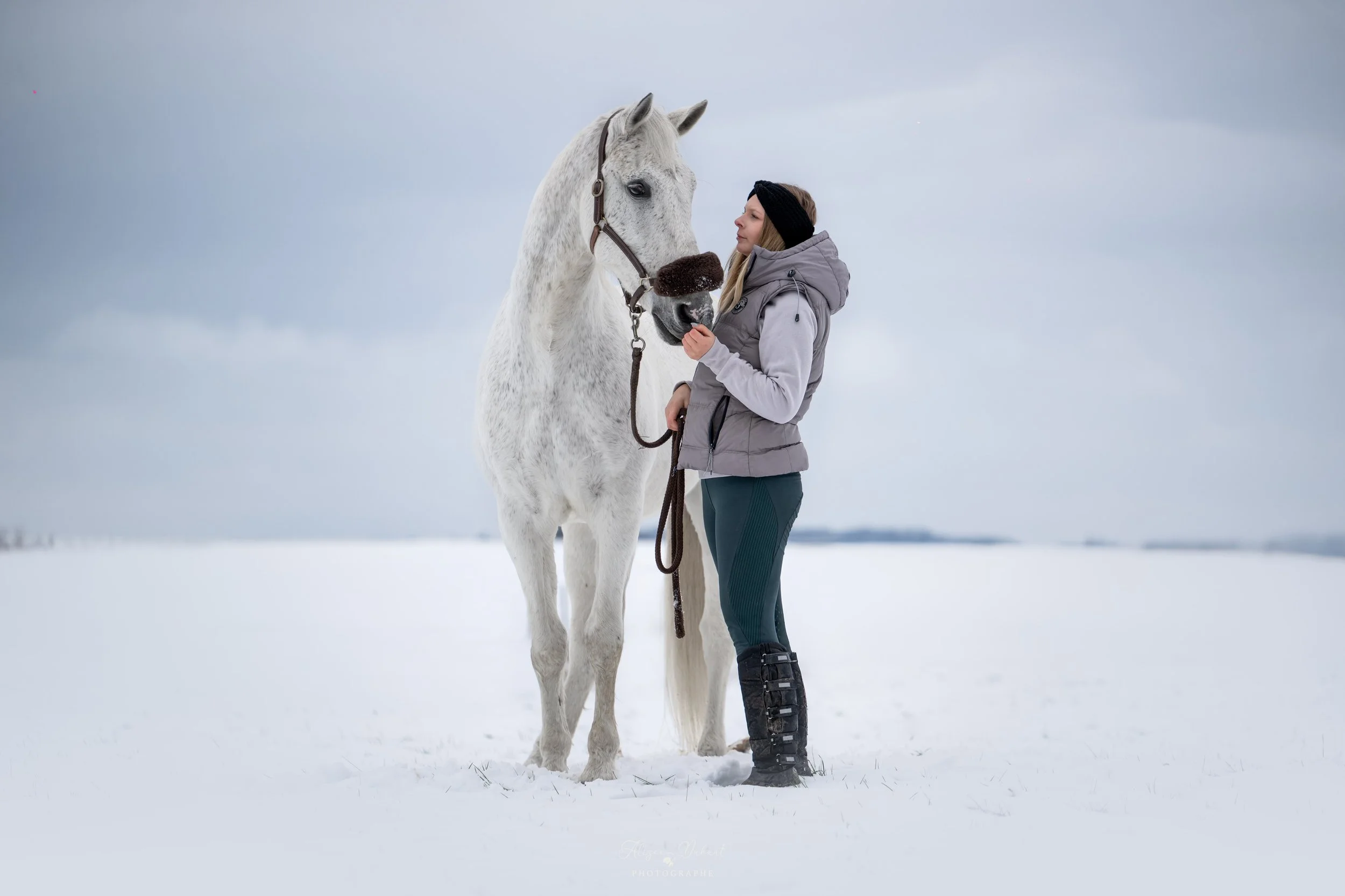 séance photo cheval ambiance naturelle neige Hauts de France