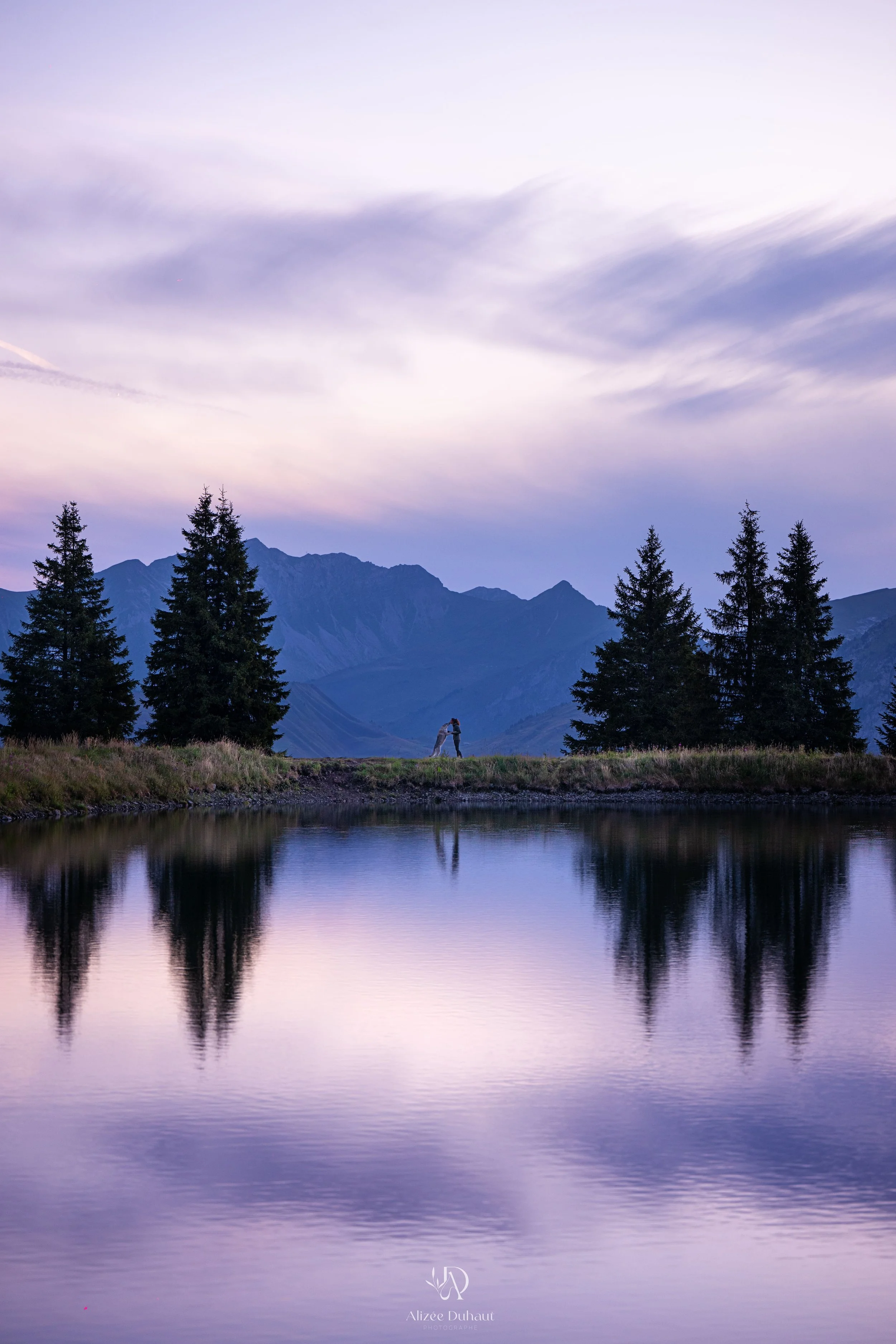 Lever de soleil séance photo chien montagne Haute Savoie 