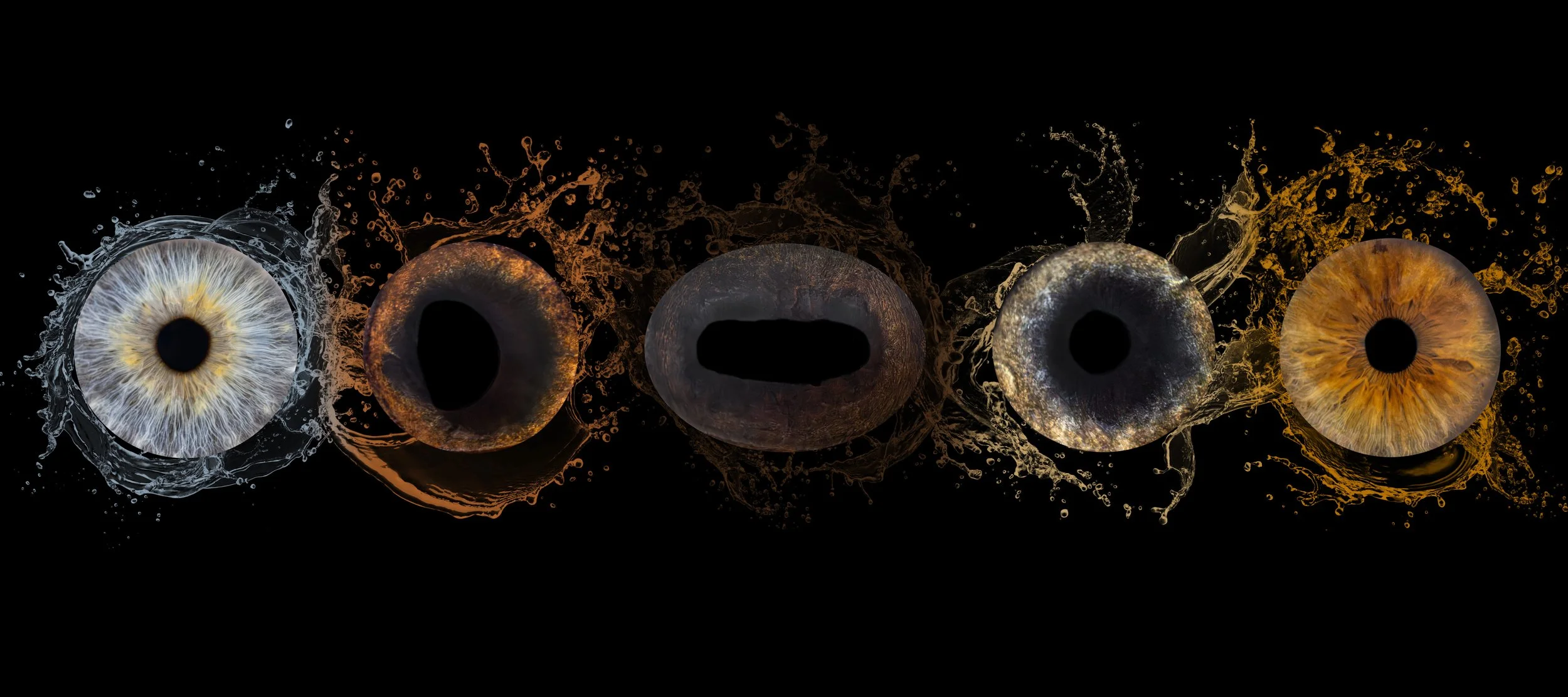 Iris Pauline 5 copie.jpg